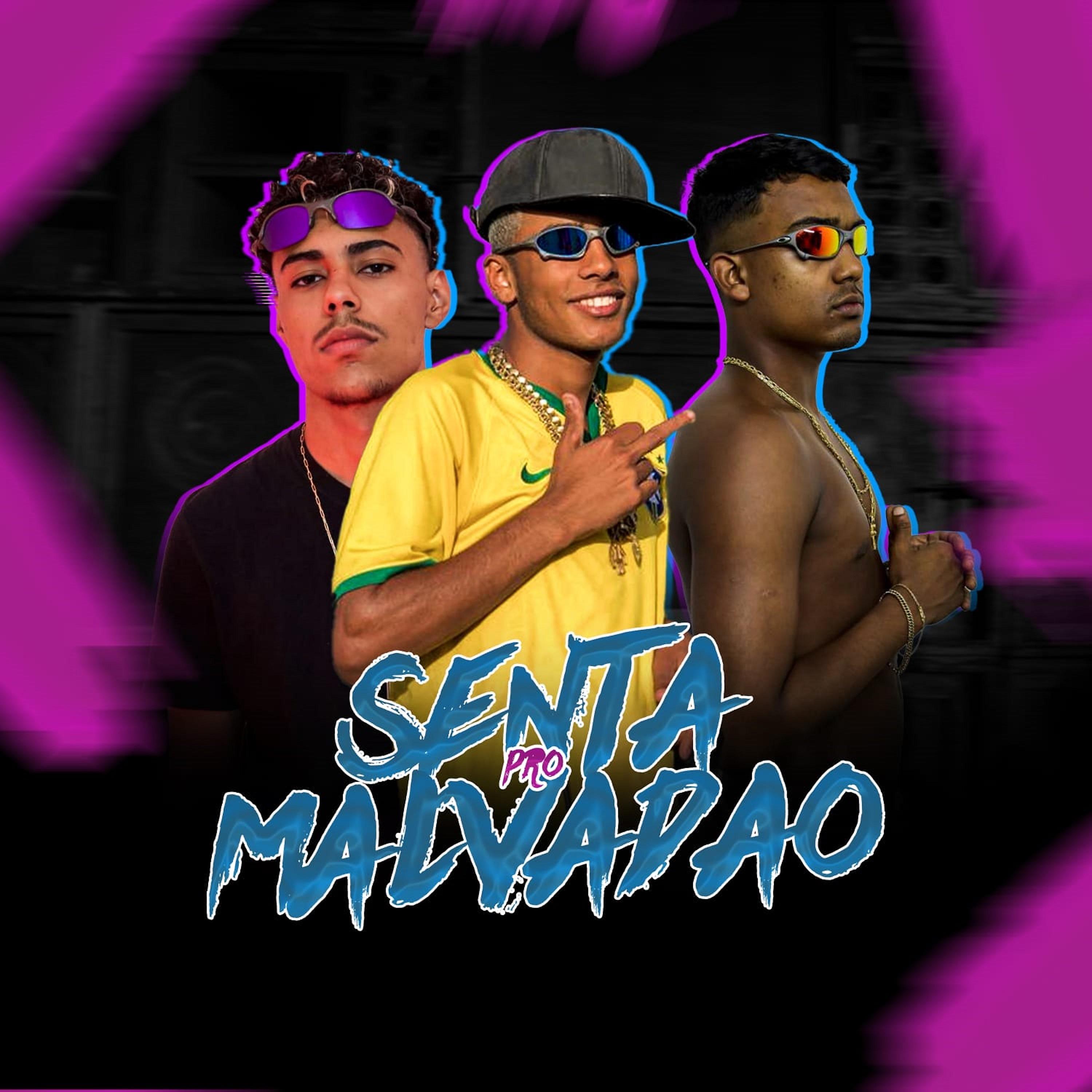 Постер альбома Senta pro Malvadão