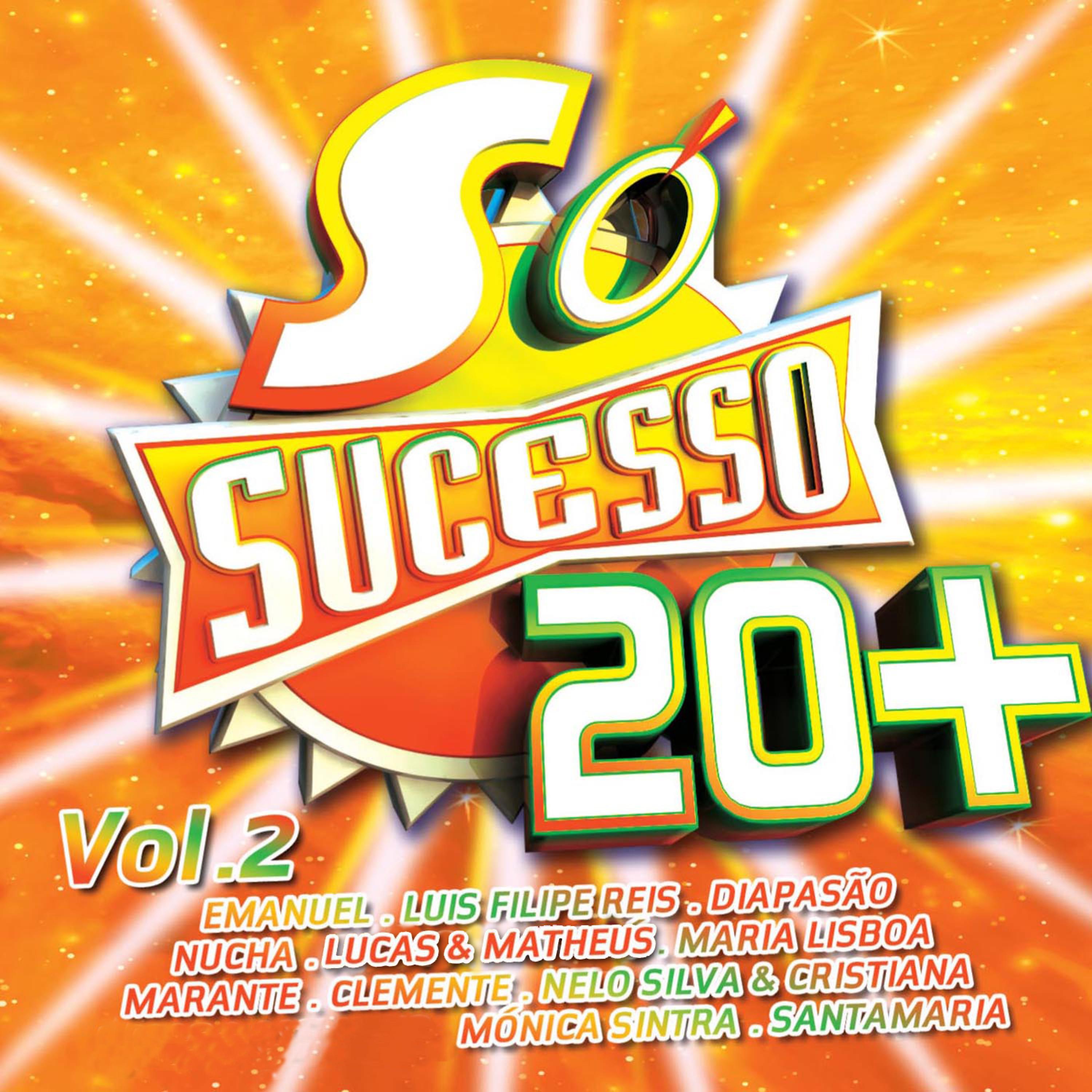 Постер альбома Só Sucesso 20+ Vol. 2