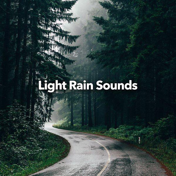 Постер альбома Light Rain Sounds