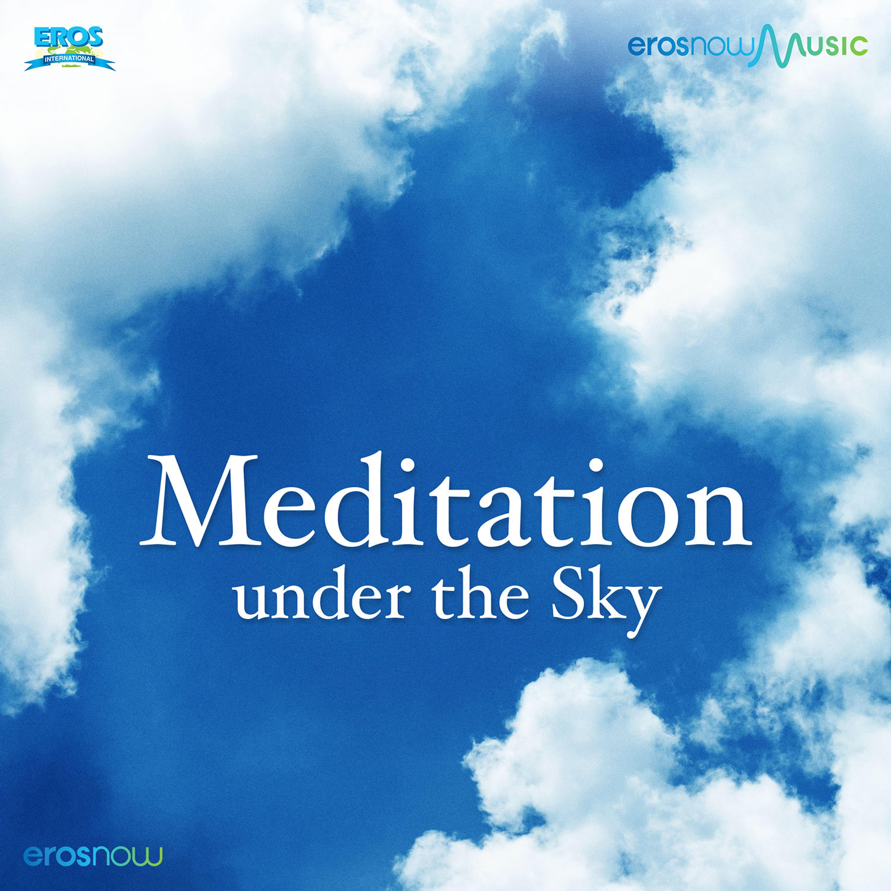 Постер альбома Meditation Under The Skies