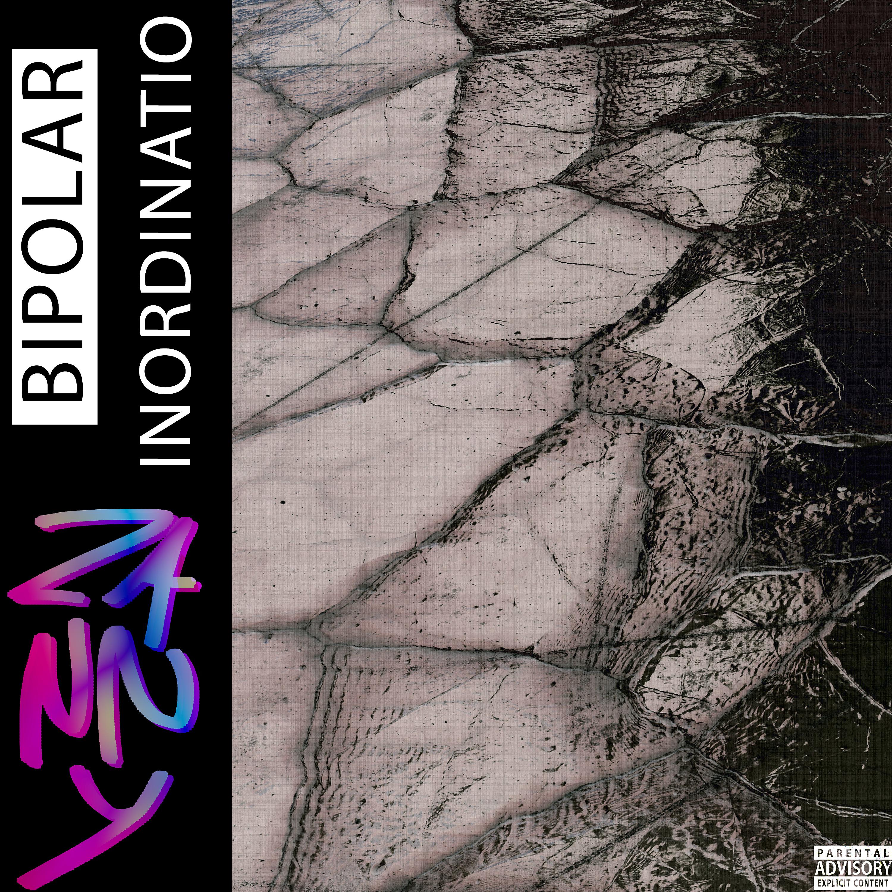 Постер альбома Bipolar Inordinatio