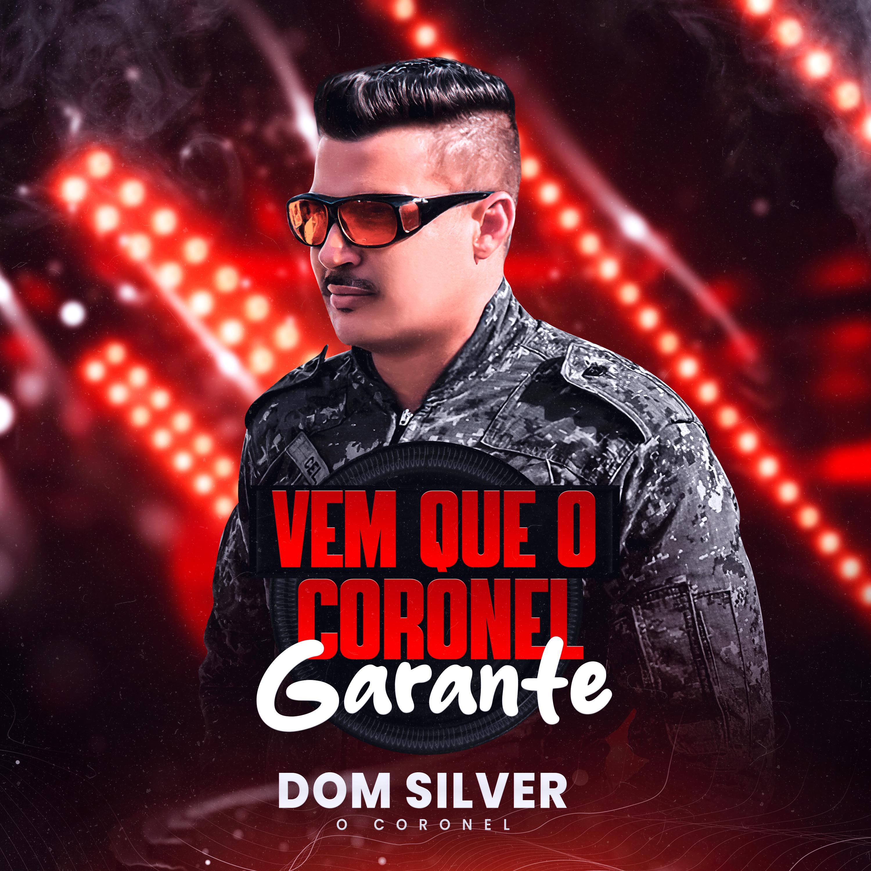 Постер альбома Vem Que o Coronel Garante