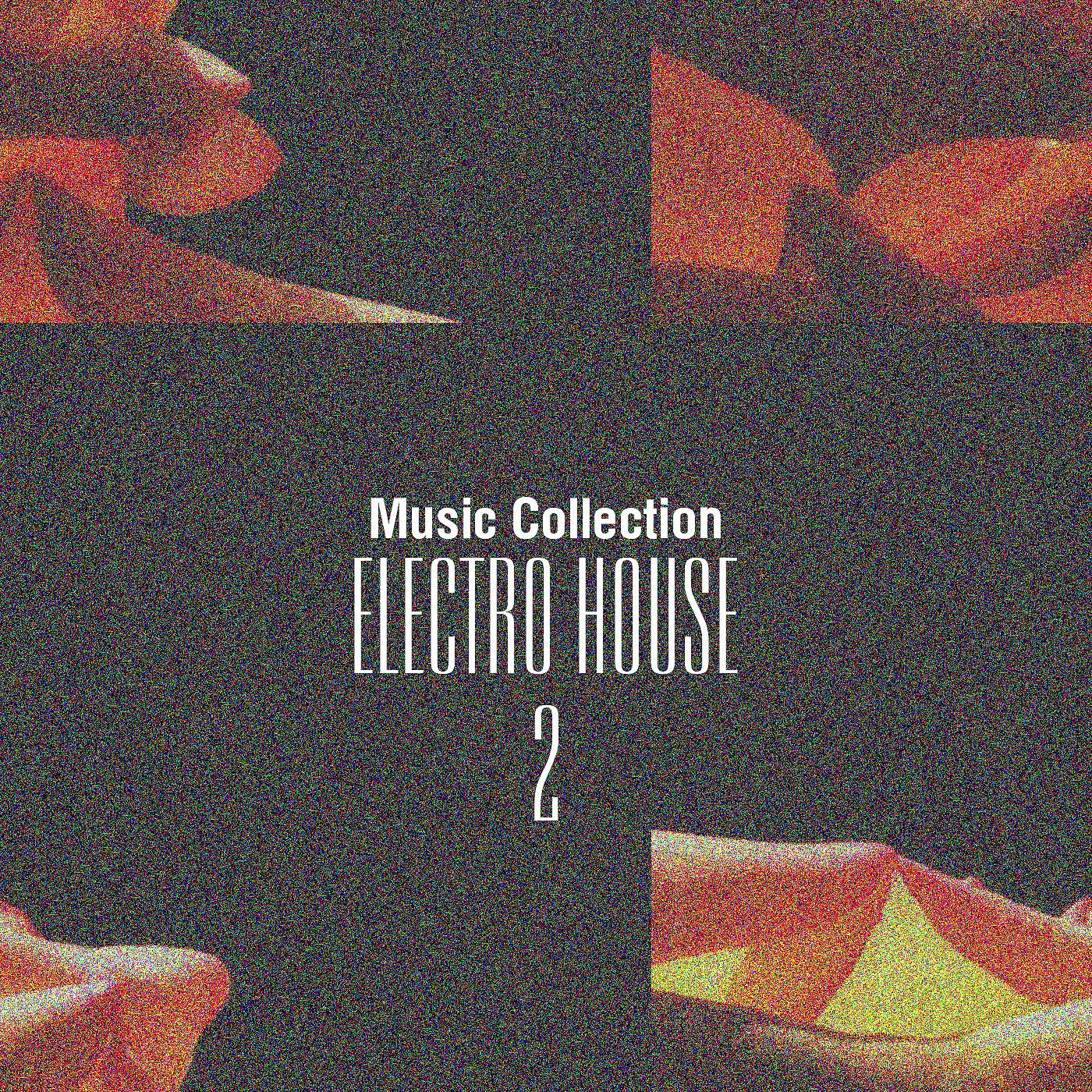 Постер альбома Music Collection. Electro House, Vol. 2