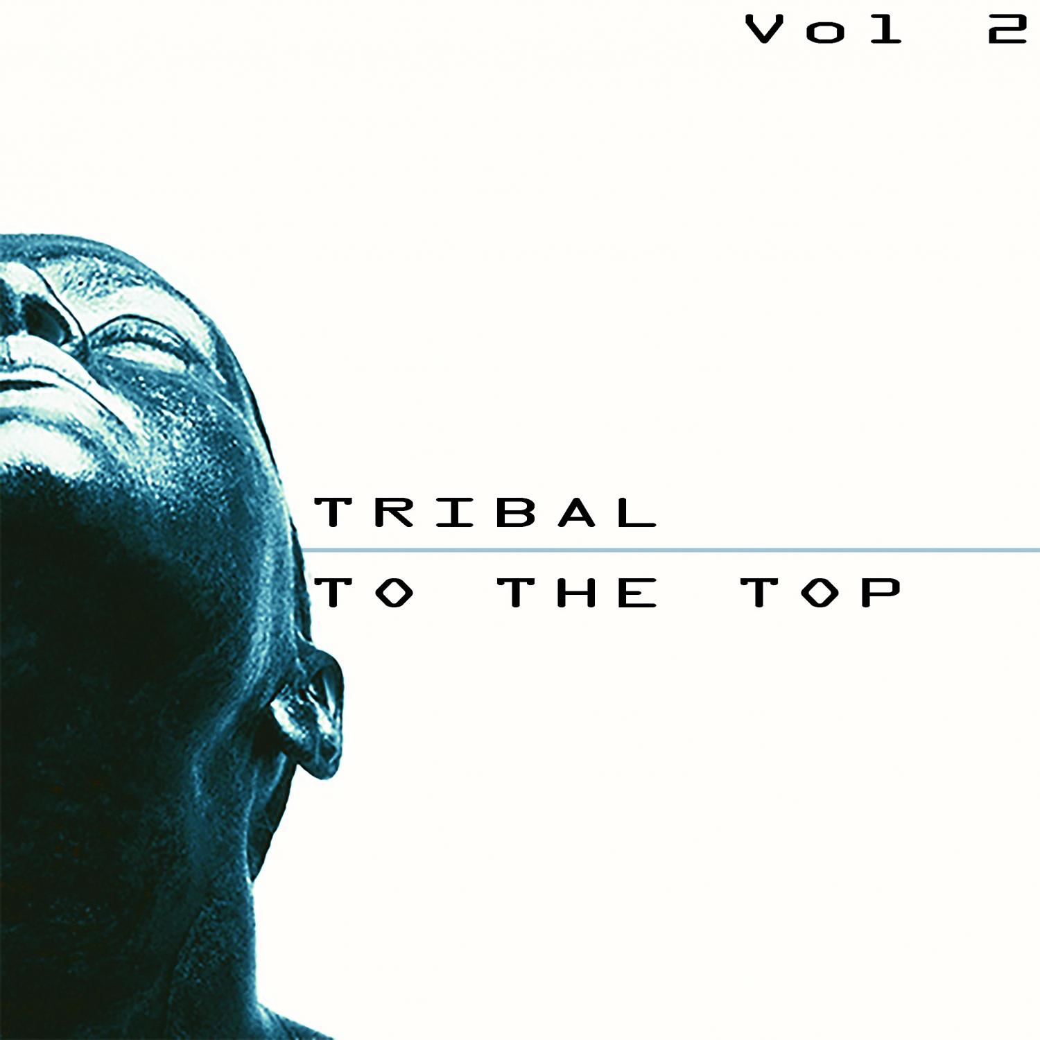 Постер альбома Tribal to the Top, Vol. 2 - Tribal for Every Mood