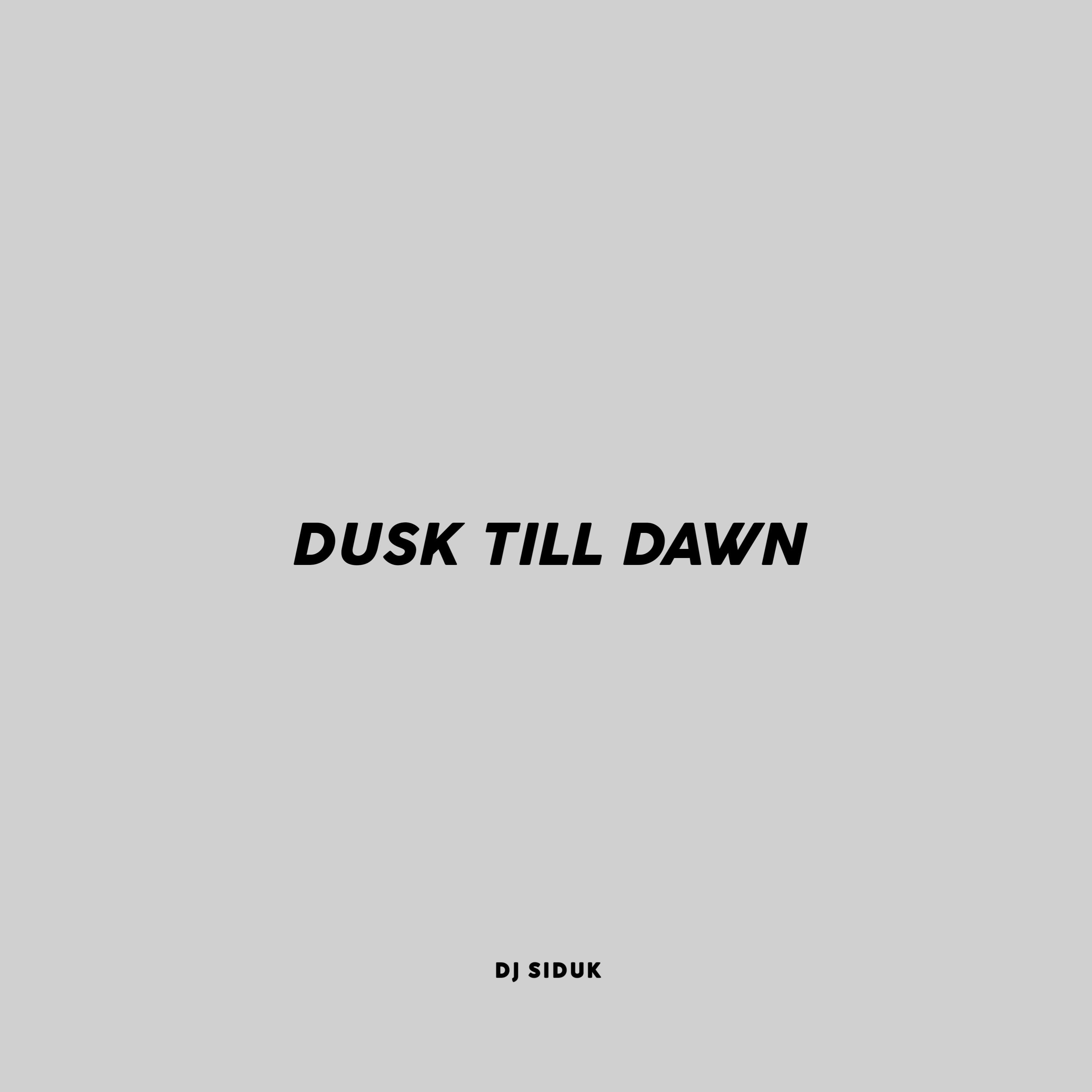 Постер альбома Dusk Till Dawn (Instrument)