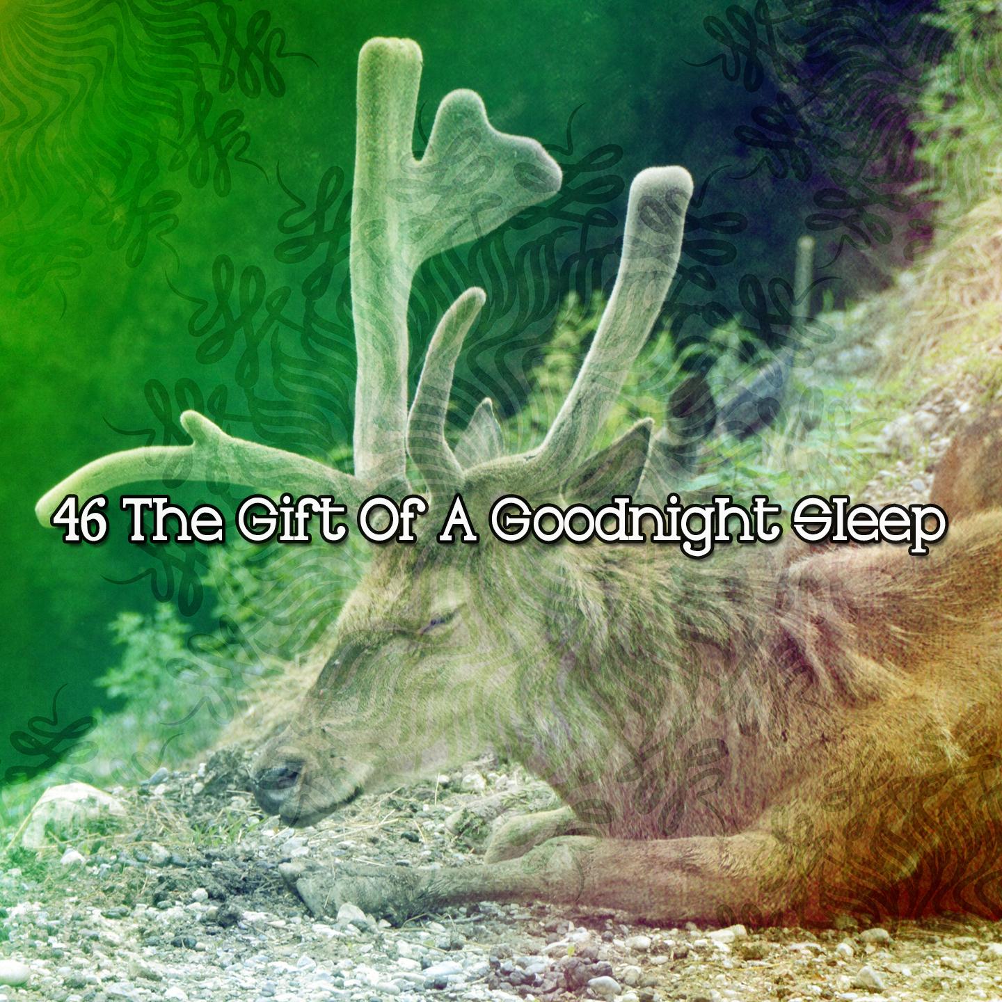 Постер альбома 46 The Gift Of A Goodnight Sleep