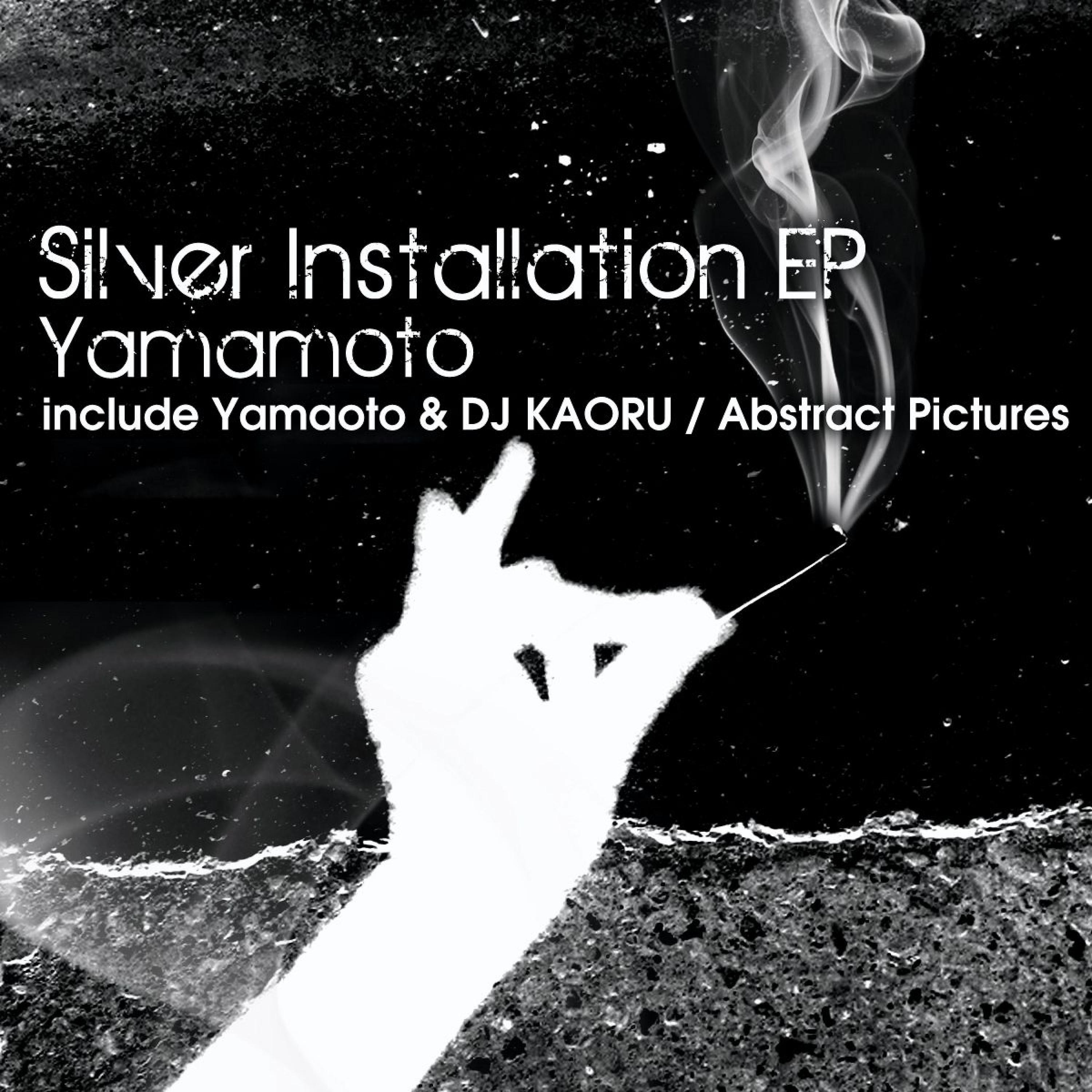 Постер альбома Silver Installation EP