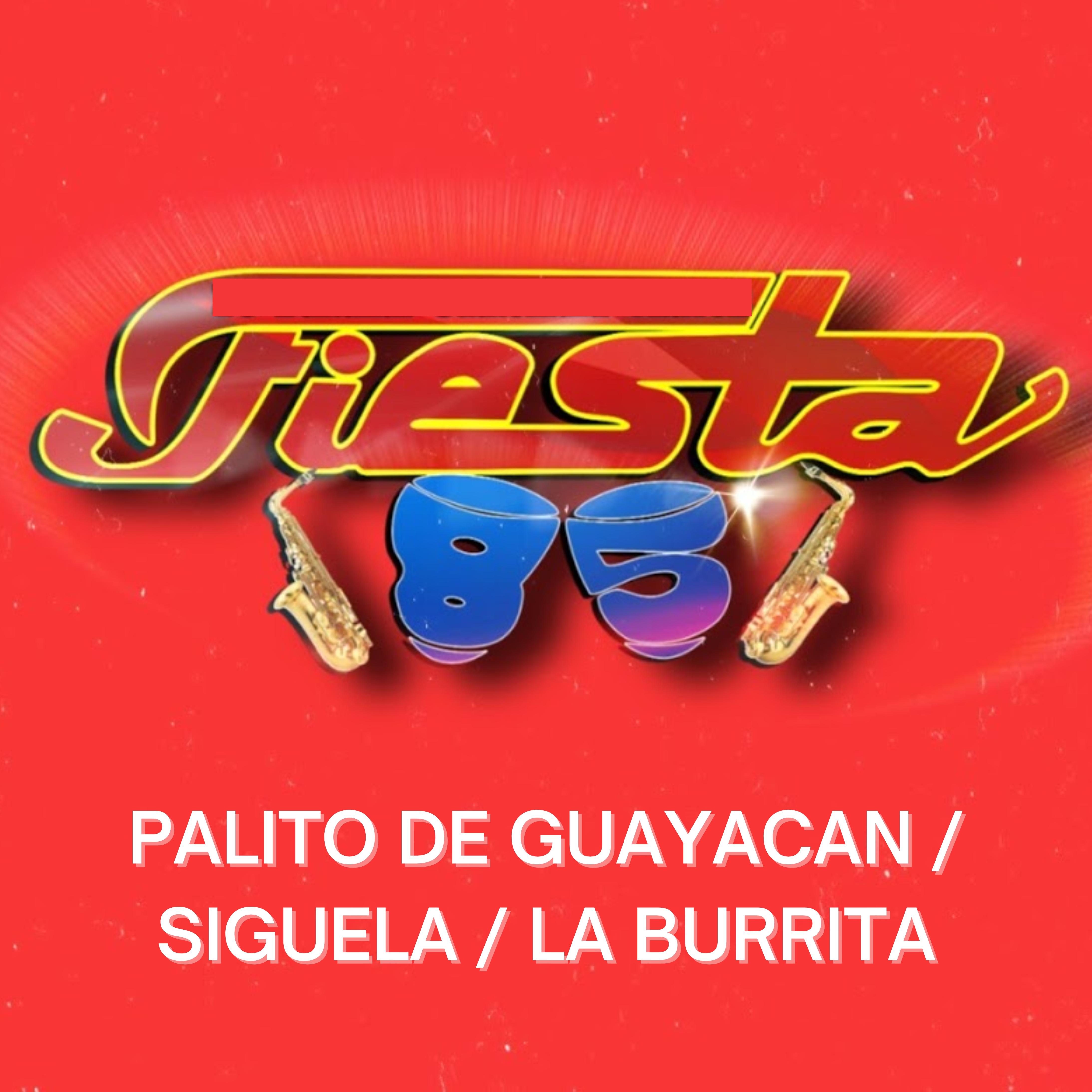 Постер альбома Palito De Guayacan / Siguela / La Burrita