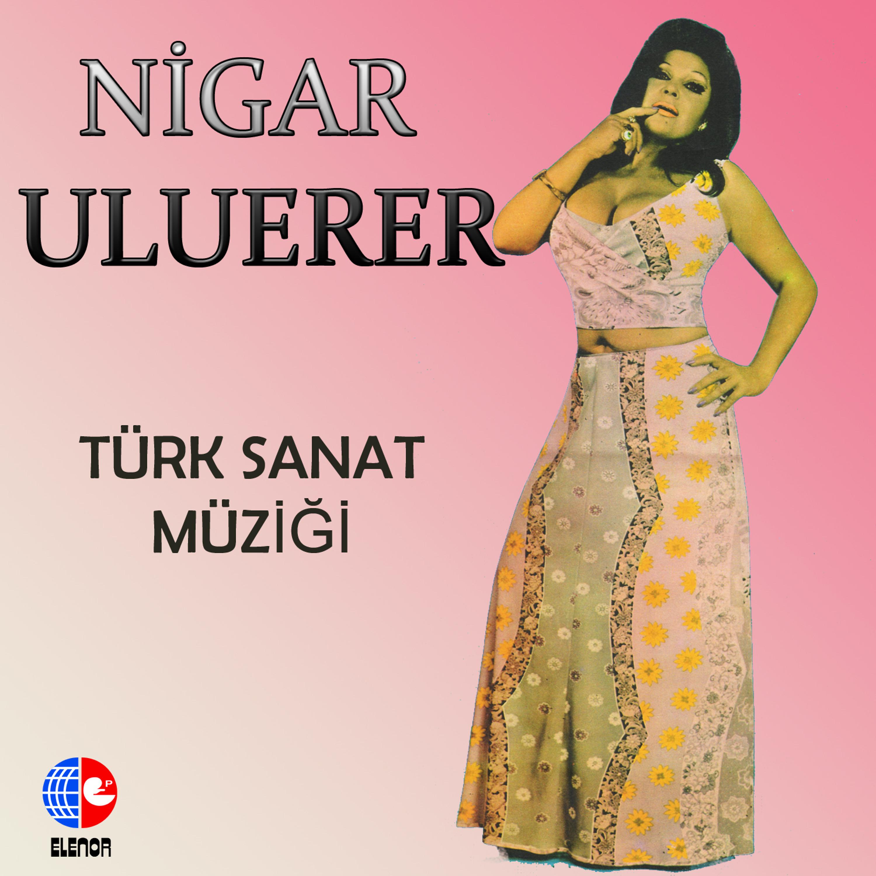 Постер альбома Türk Sanat Müziği