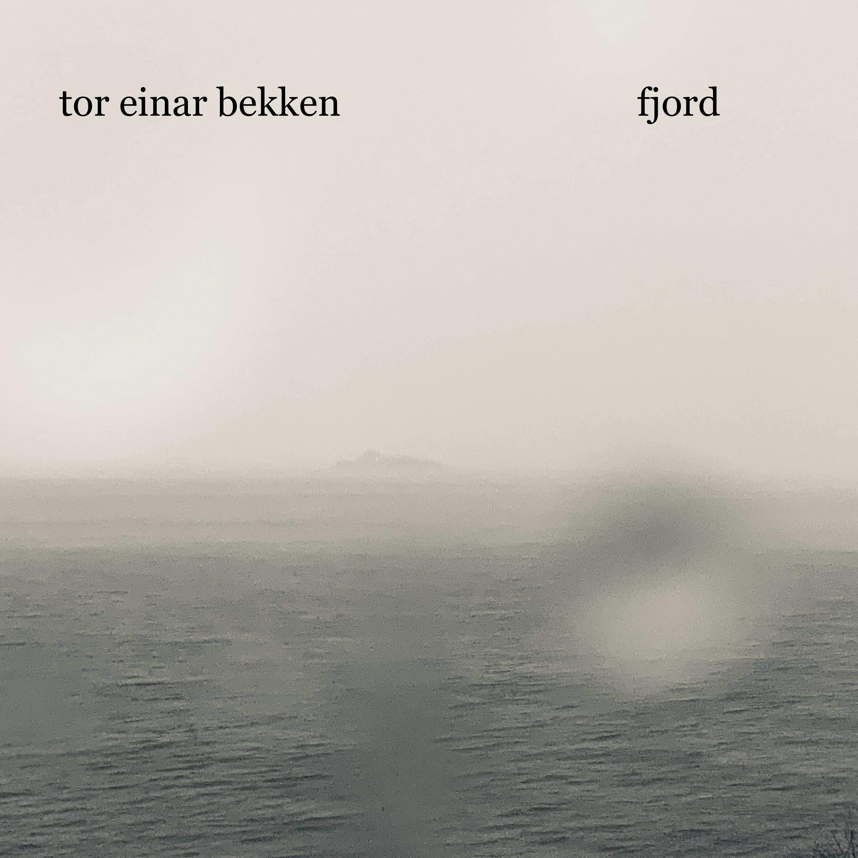 Постер альбома Fjord
