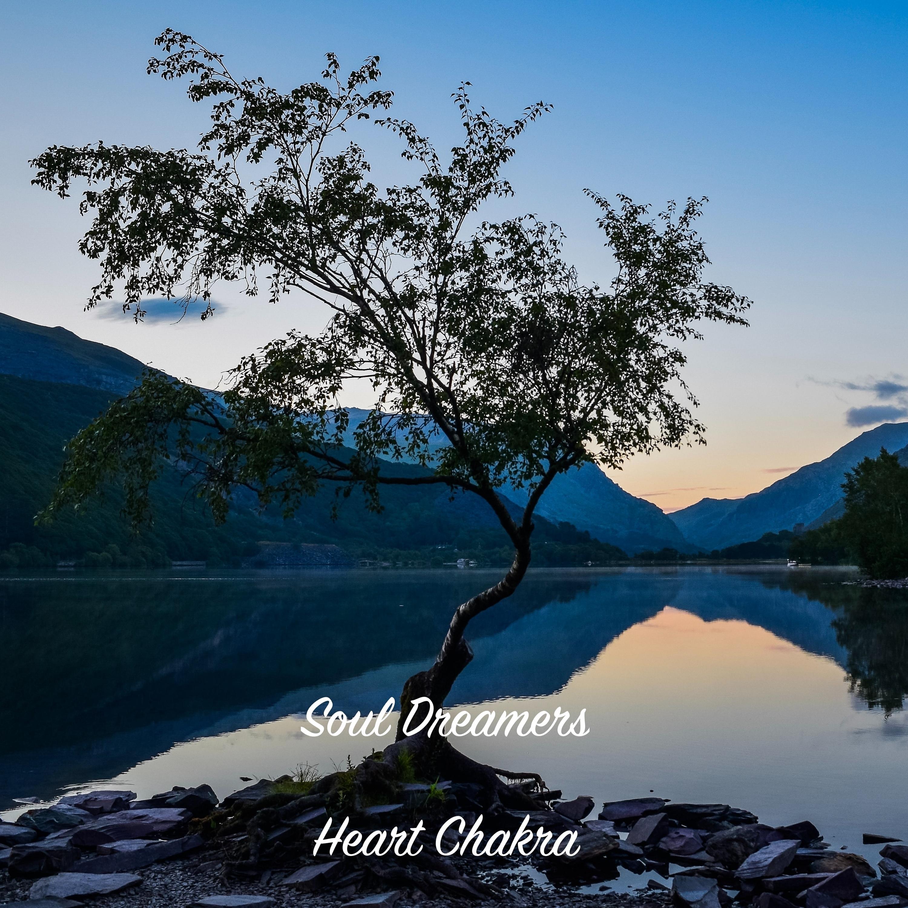 Постер альбома Heart Chakra