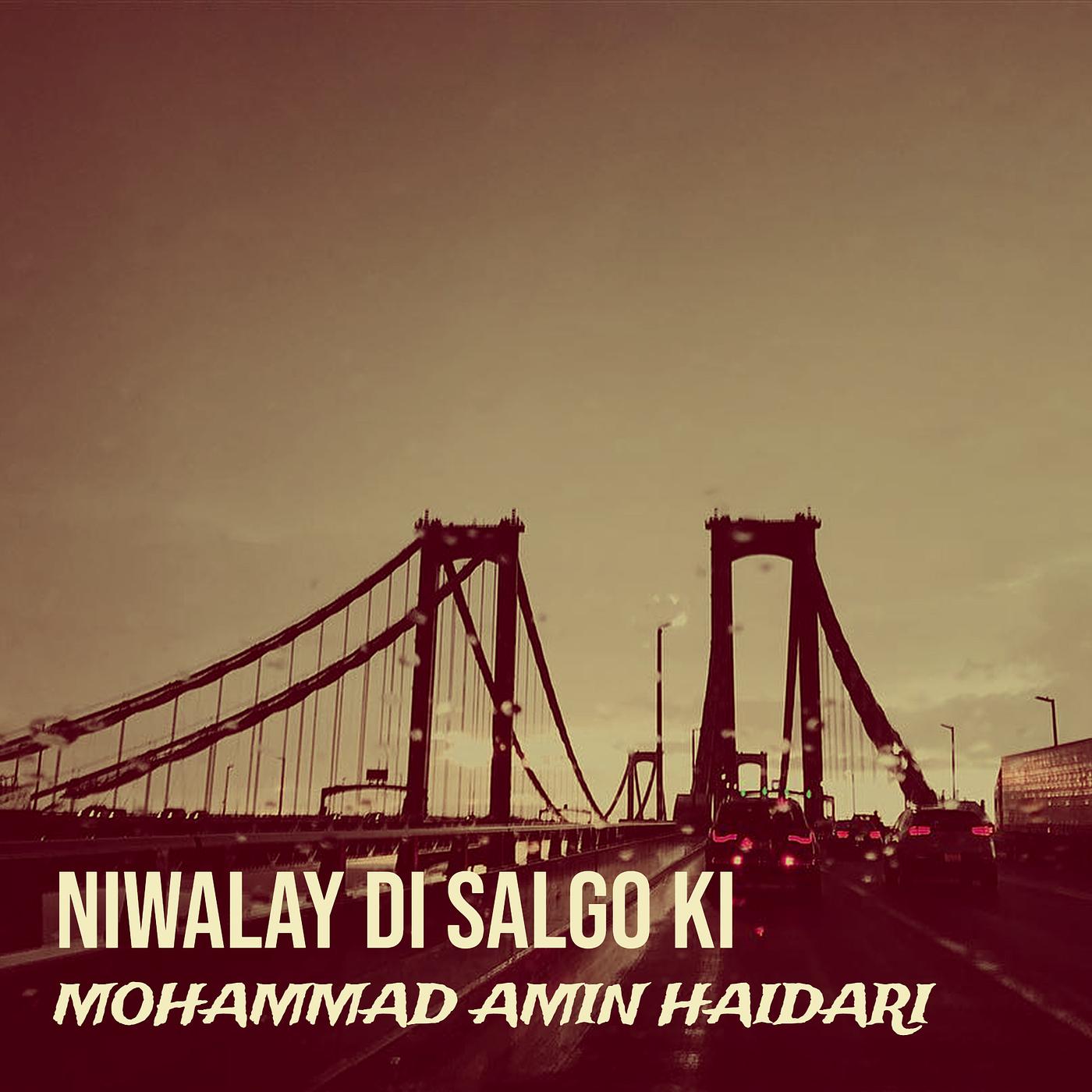 Постер альбома Niwalay Di Salgo Ki