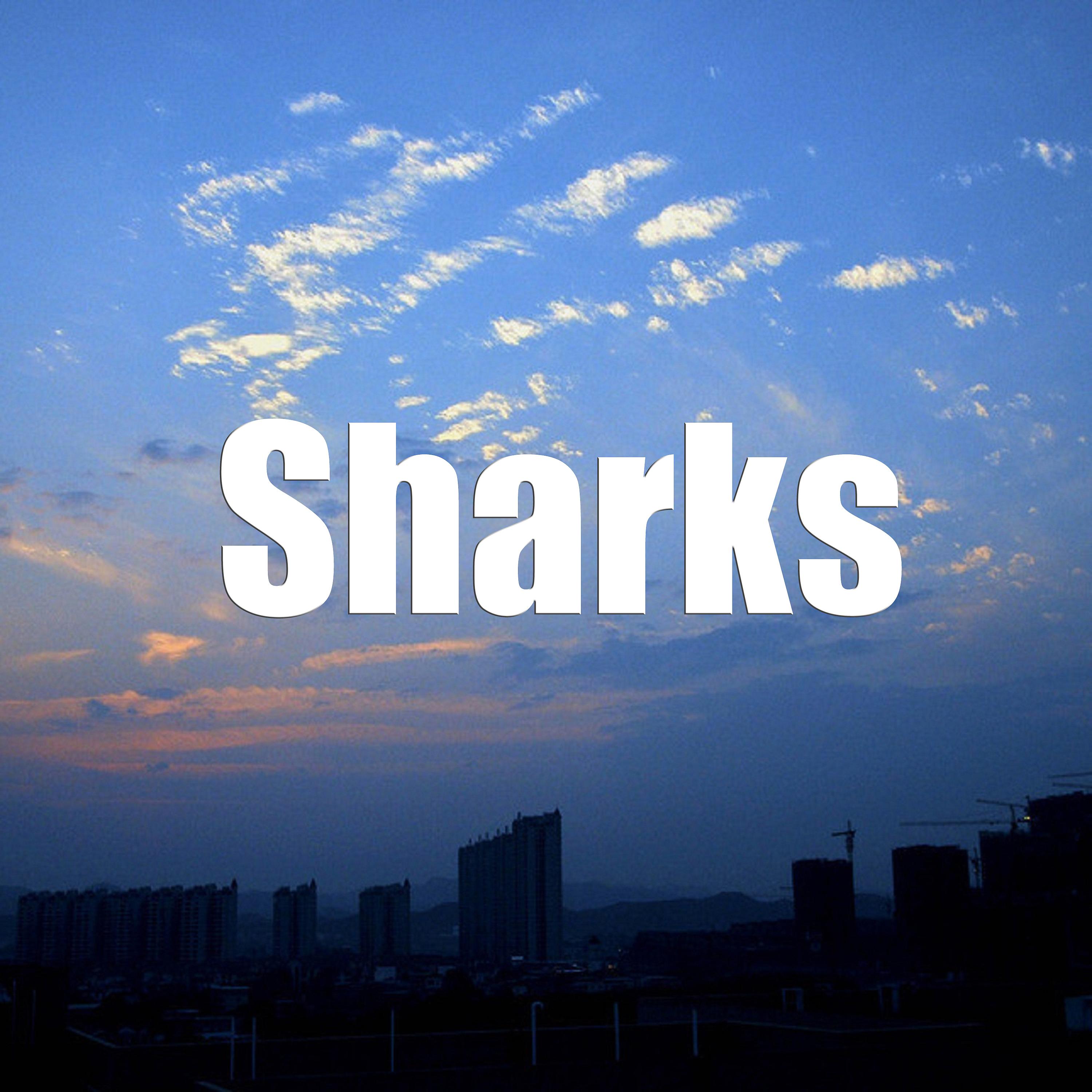 Постер альбома Sharks
