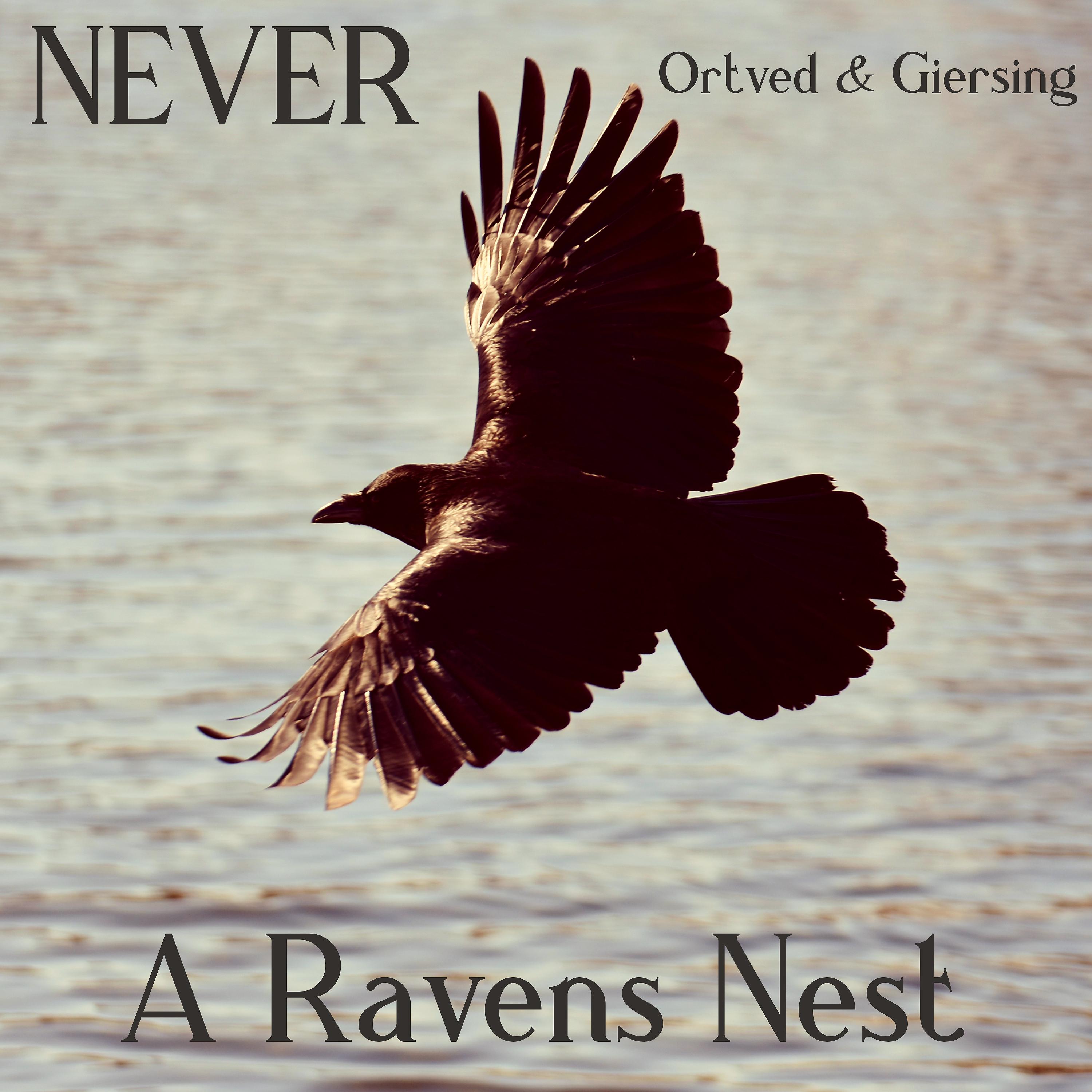 Постер альбома A Raven`s Nest