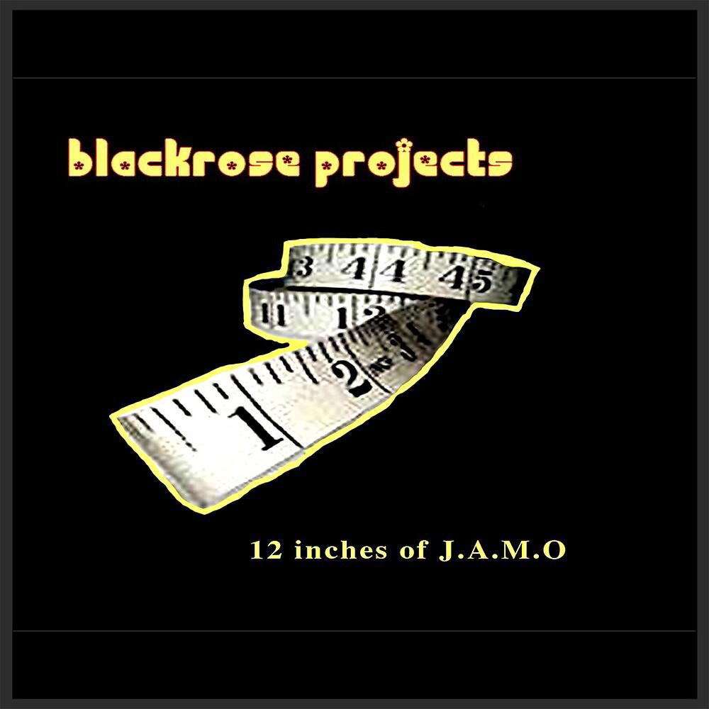 Постер альбома 12 inches of J.A.M.O