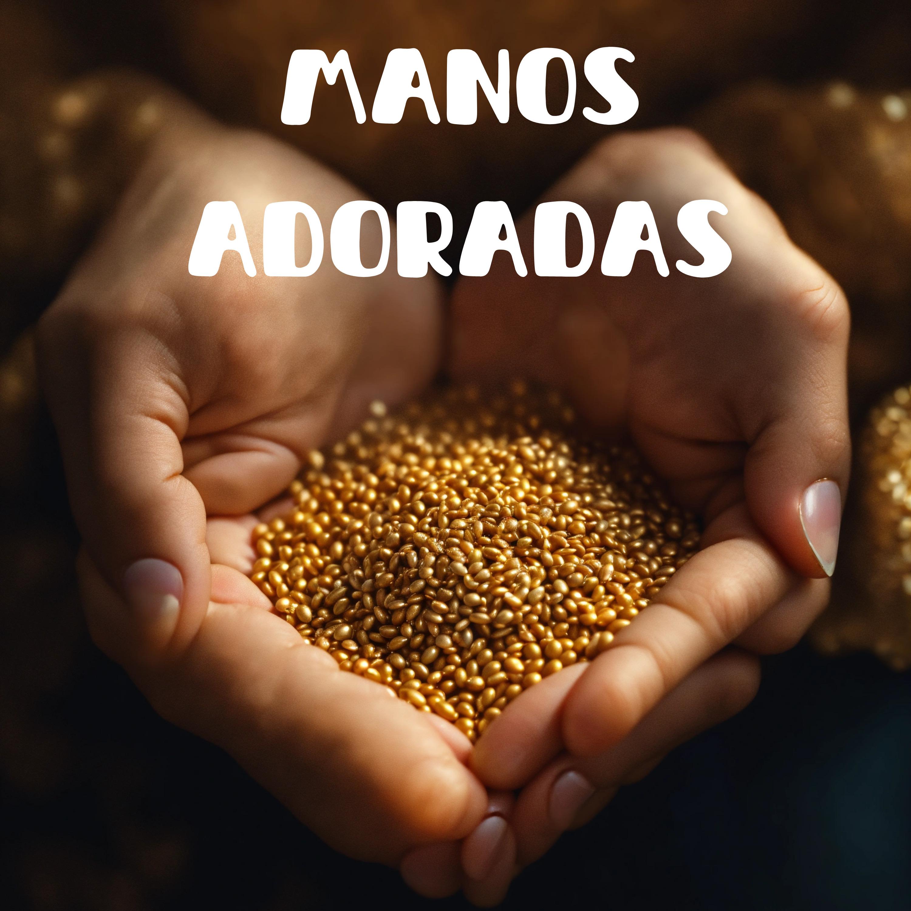 Постер альбома Manos Adoradas