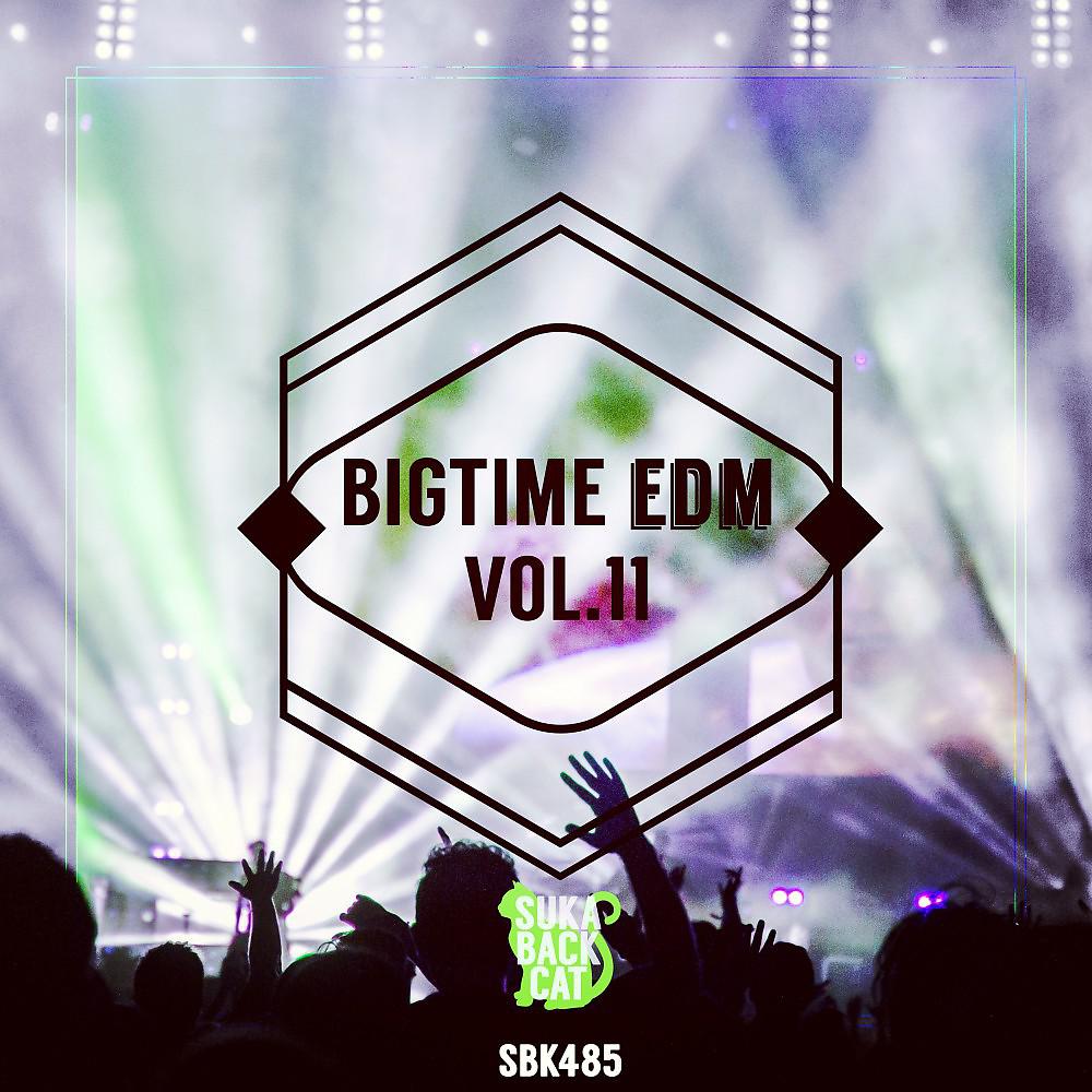 Постер альбома Bigtime EDM, Vol. 11
