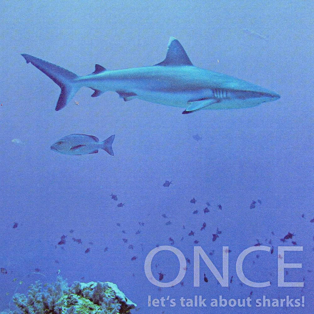 Постер альбома Let's Talk About Sharks