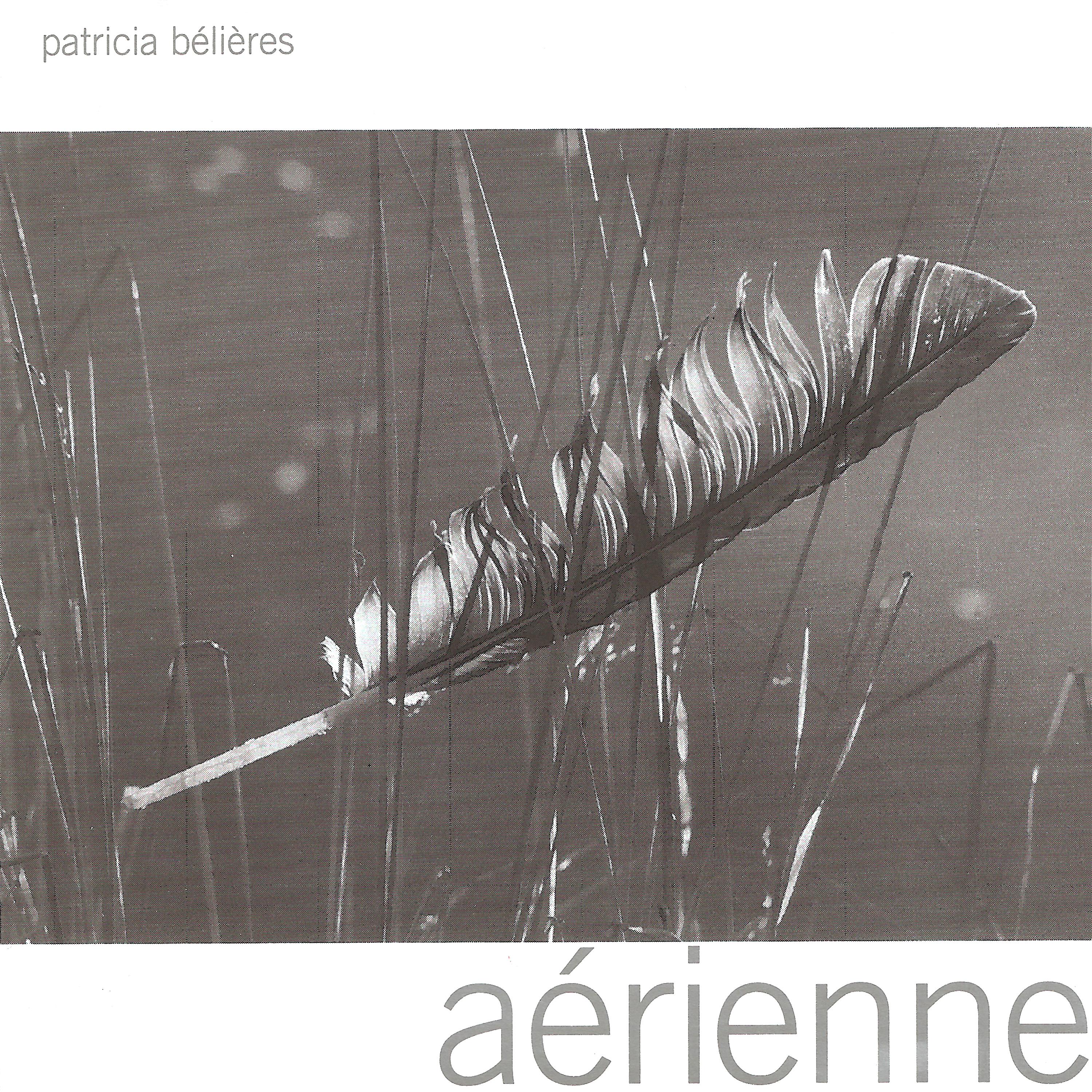 Постер альбома Aérienne