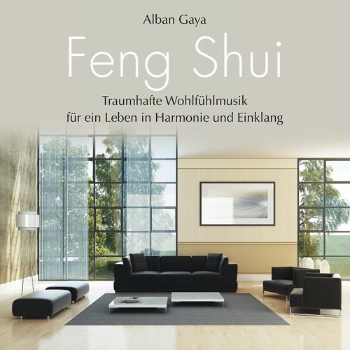 Постер альбома Feng Shui