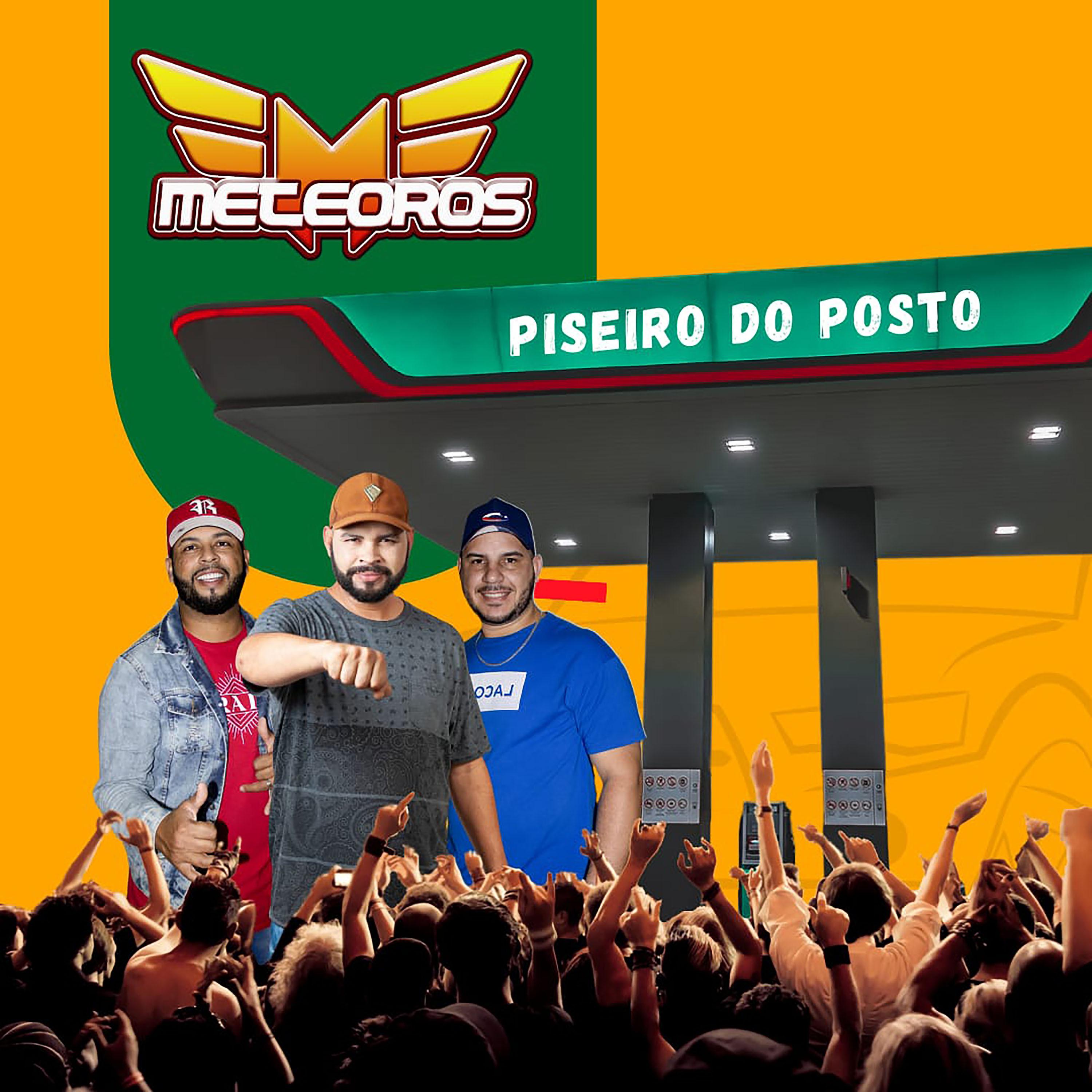 Постер альбома Piseiro do Posto