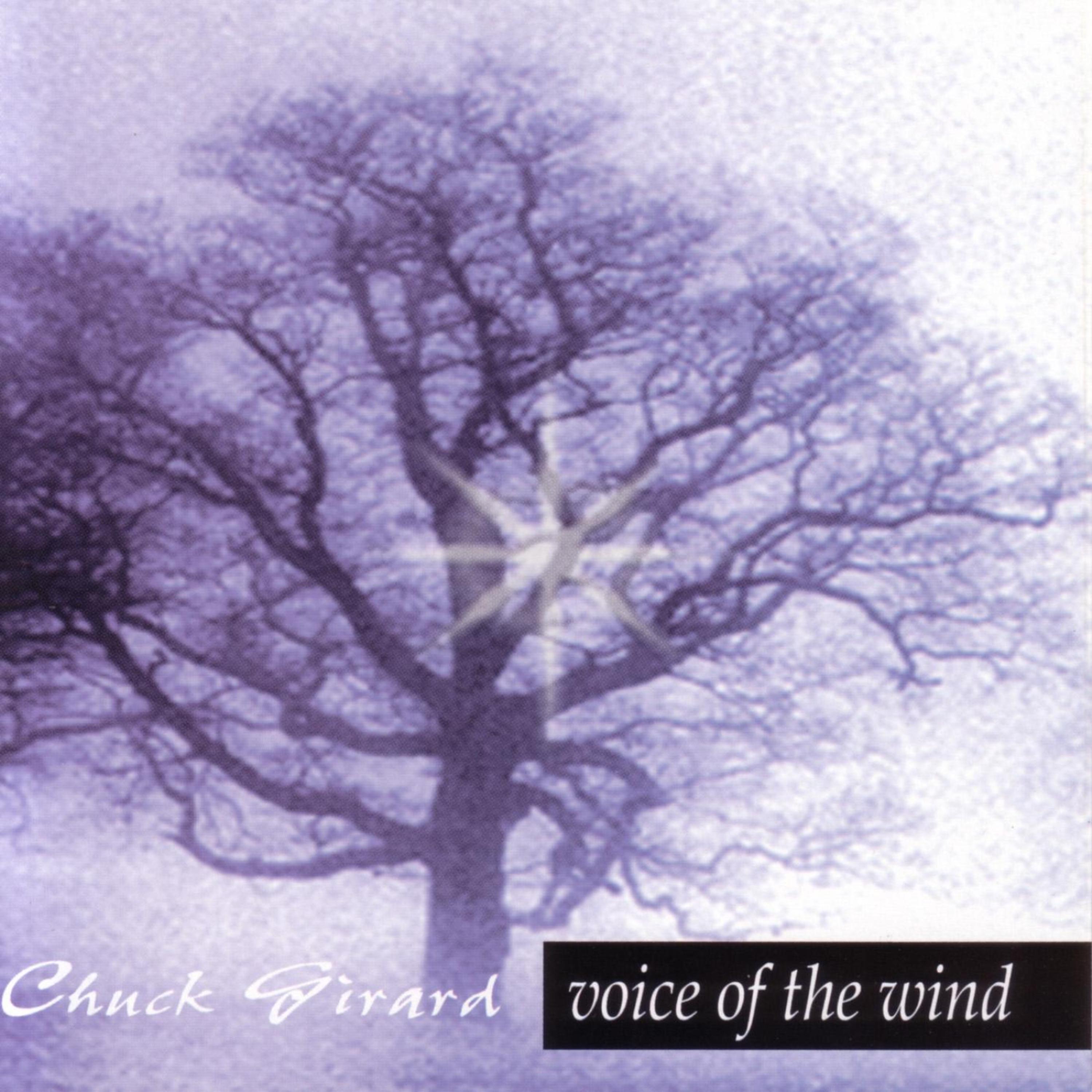 Постер альбома Voice Of The Wind