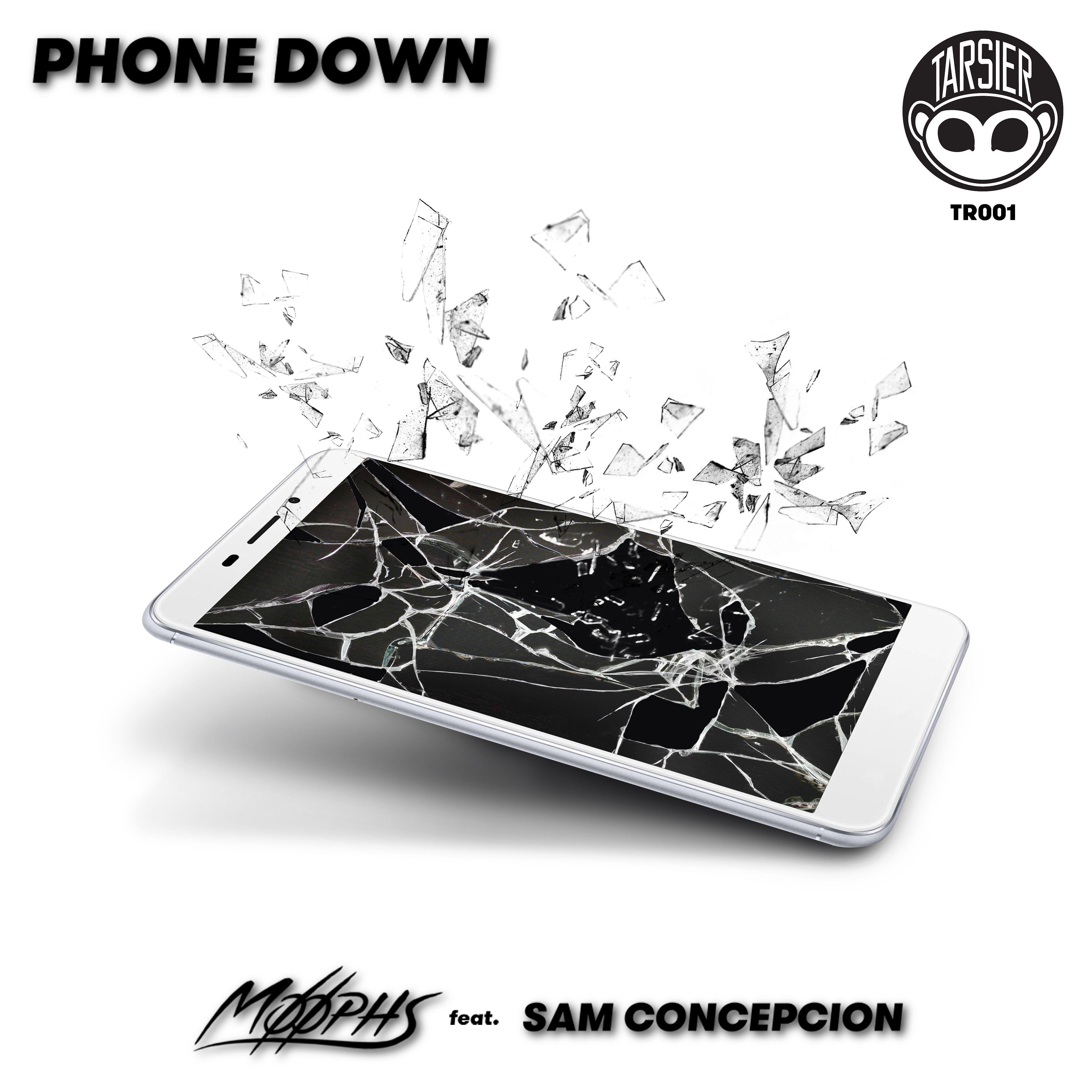 Постер альбома Phone Down (feat. Sam Concepcion)