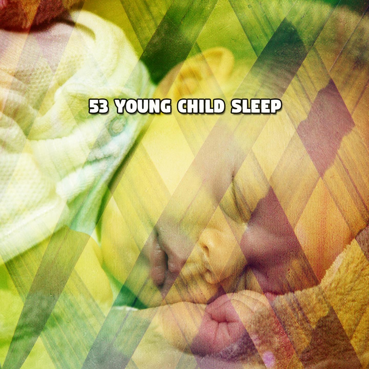 Постер альбома 53 Young Child Sleep