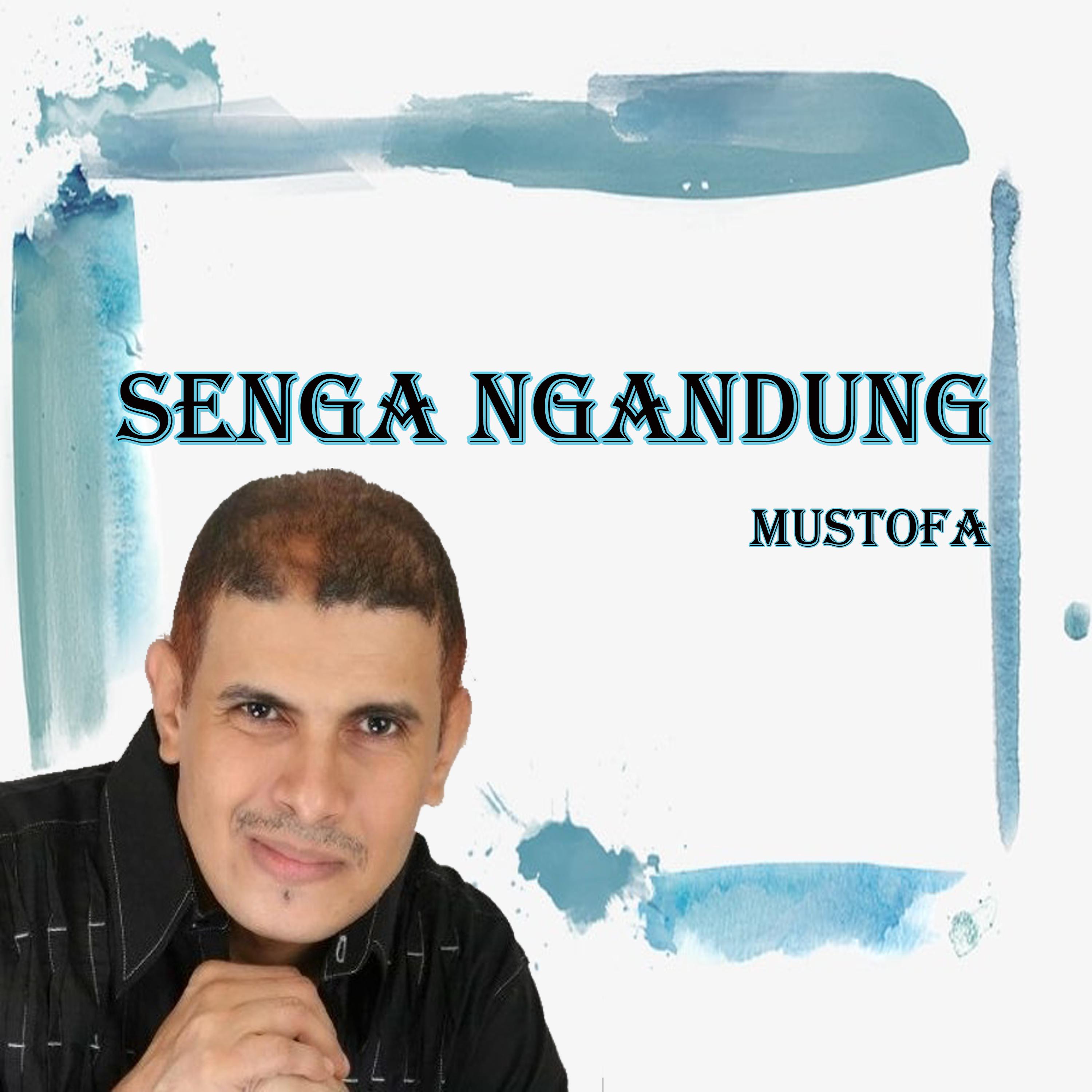 Постер альбома Senga Ngandung