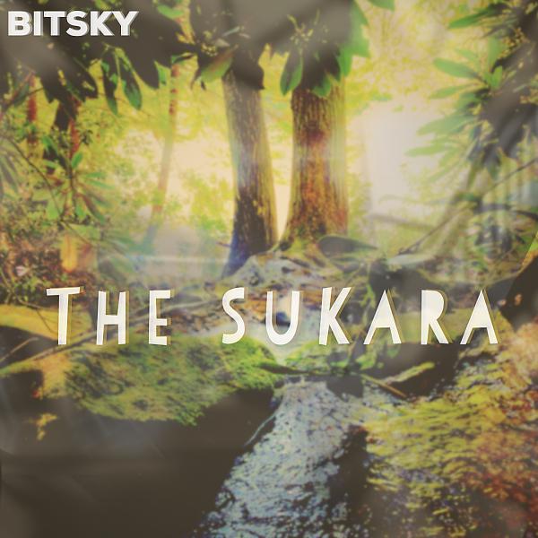 Постер альбома The Sukara
