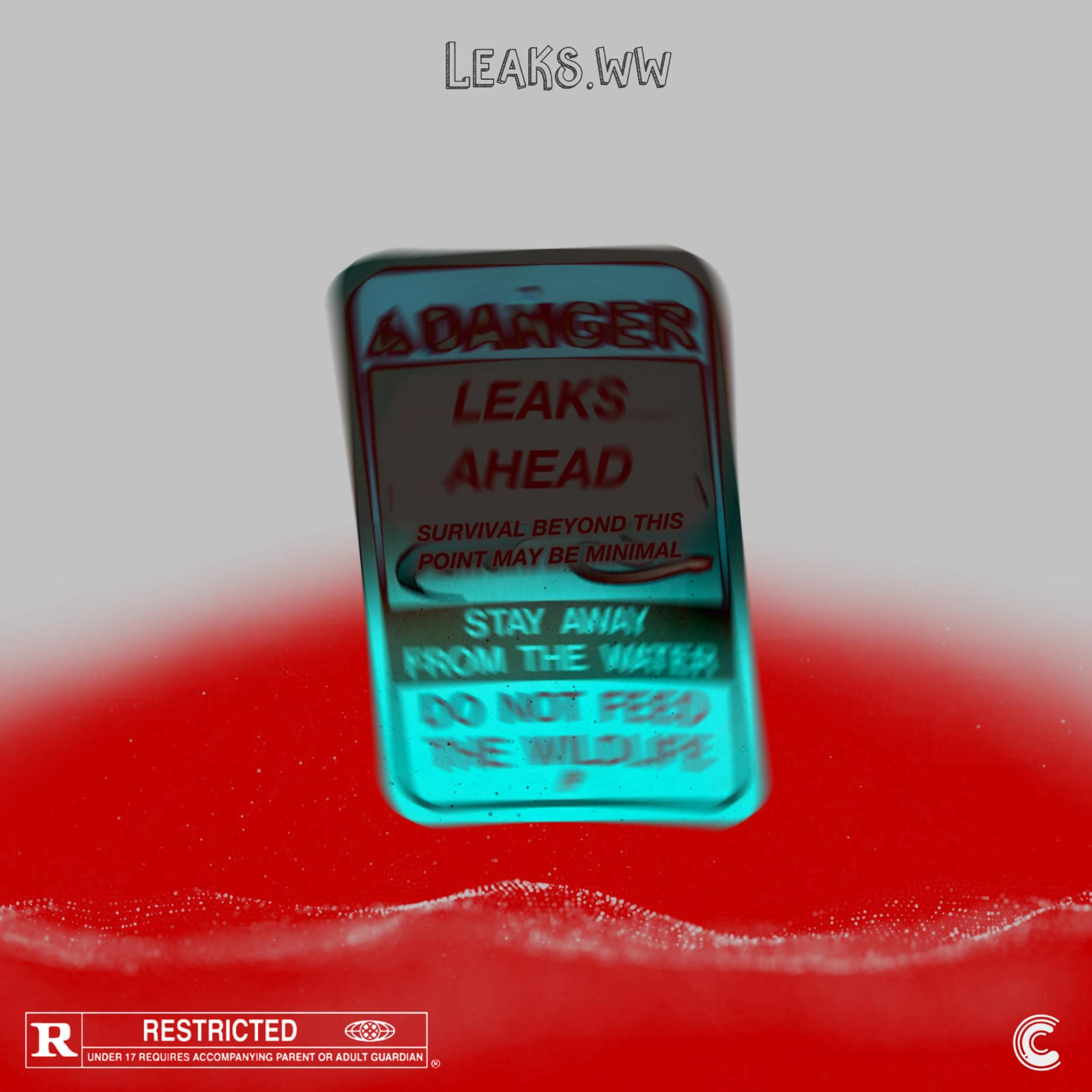 Постер альбома The Leaks EP