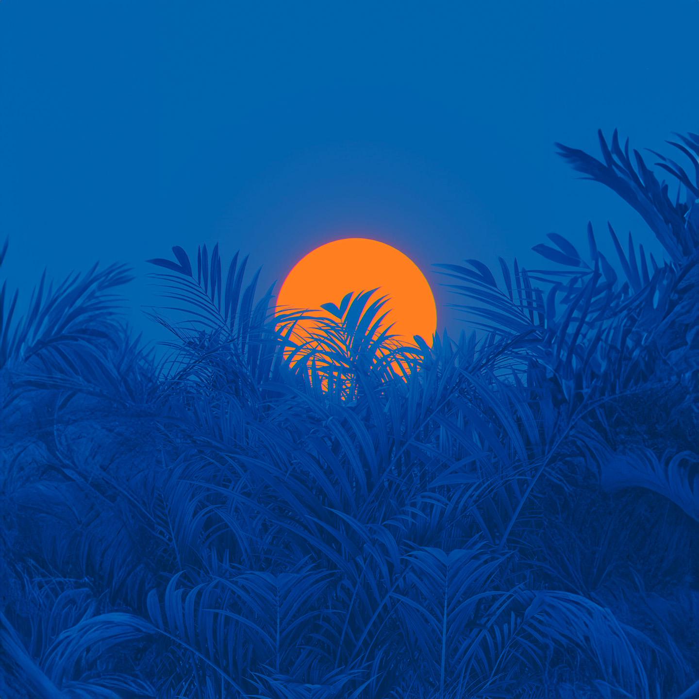 Постер альбома Blue Sunset