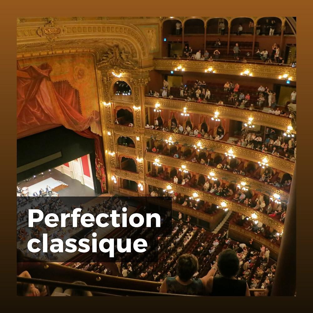 Постер альбома Perfection classique