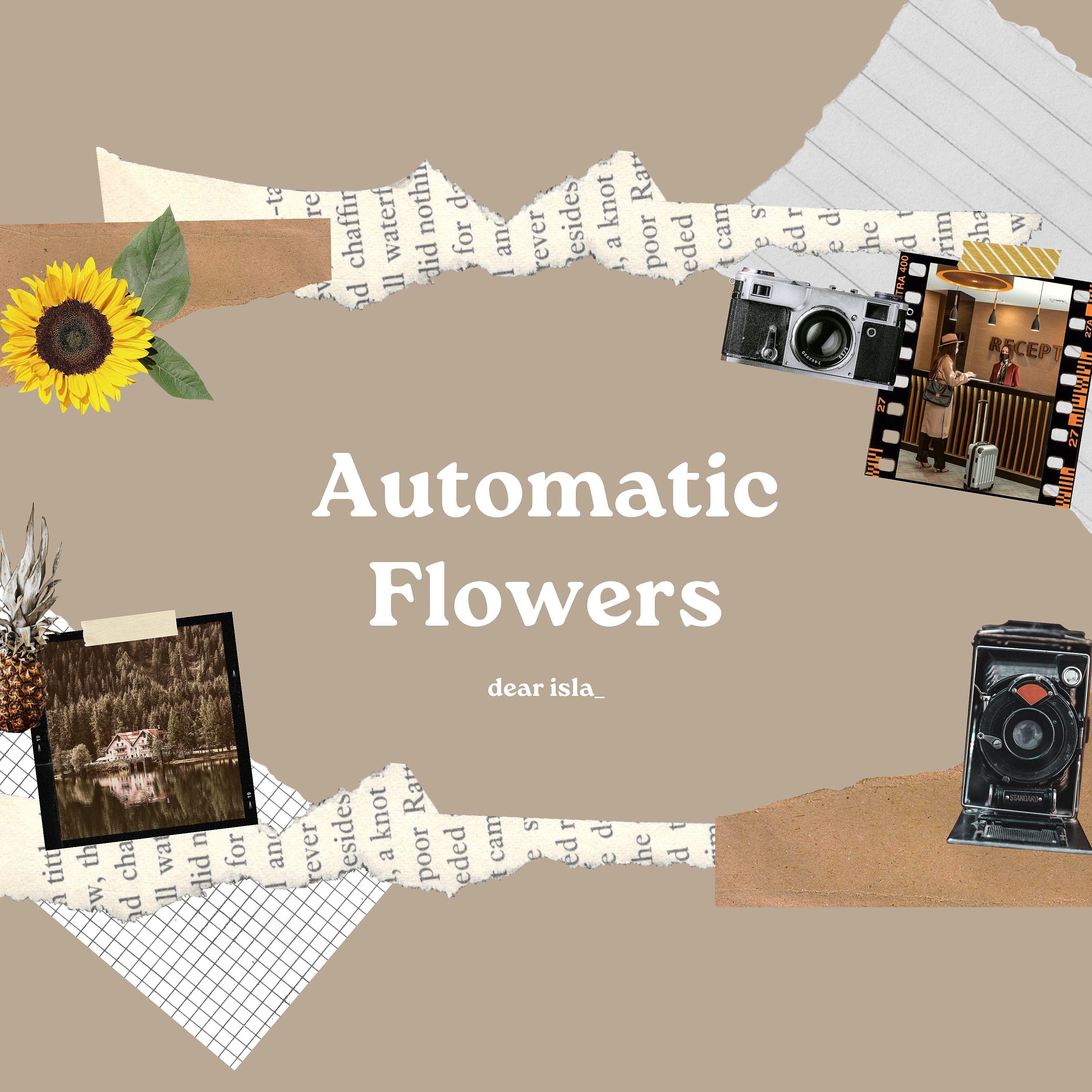 Постер альбома Automatic Flowers