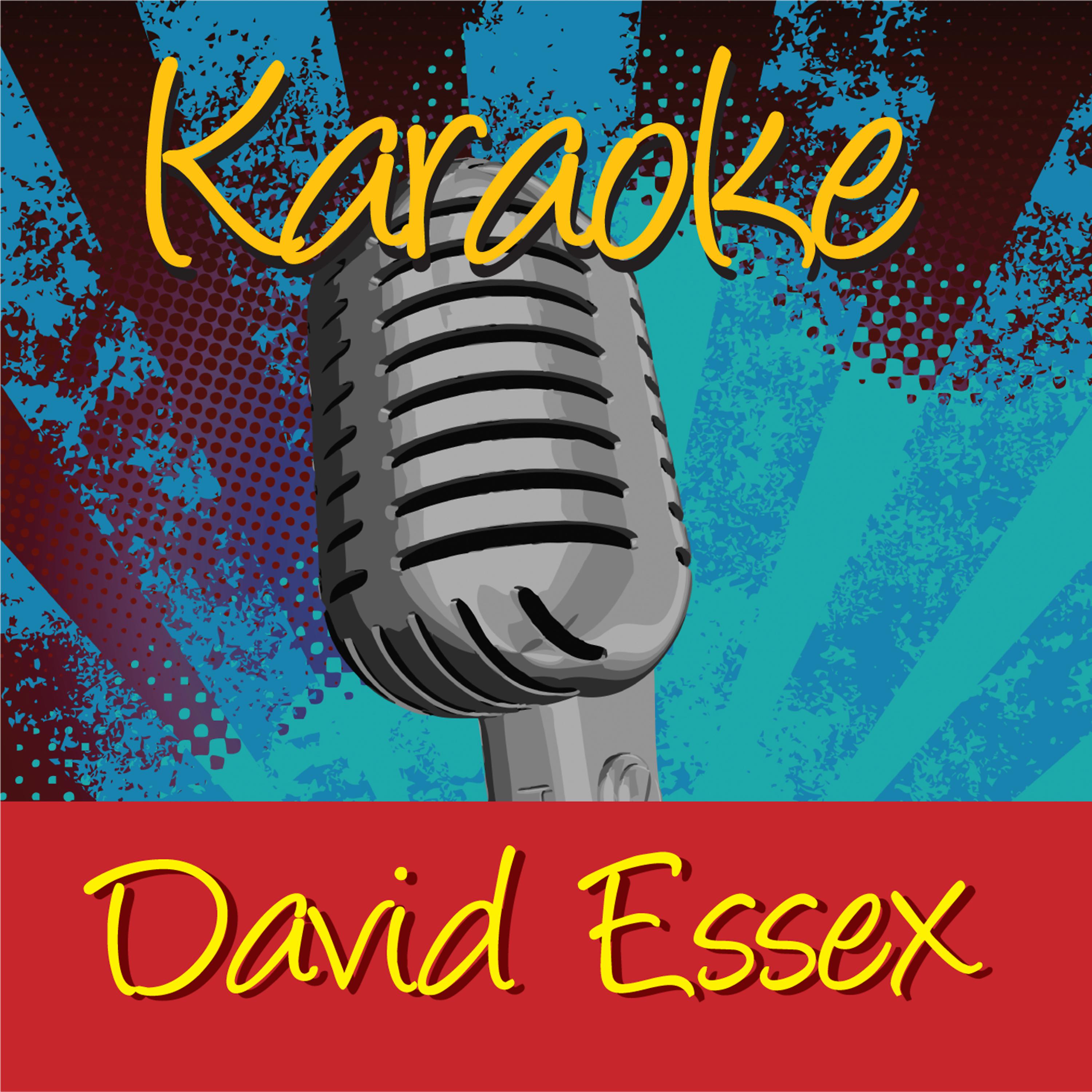 Постер альбома Karaoke - David Essex