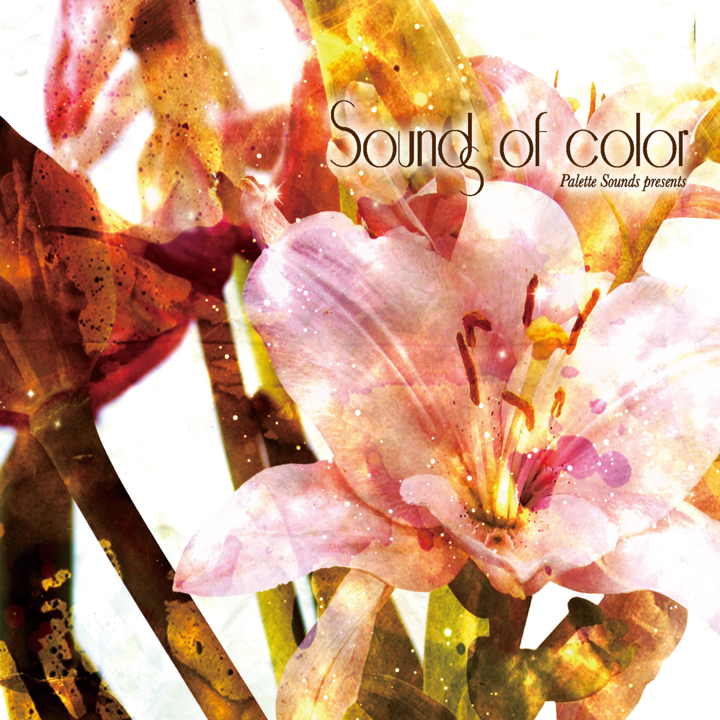 Постер альбома Sounds of Color