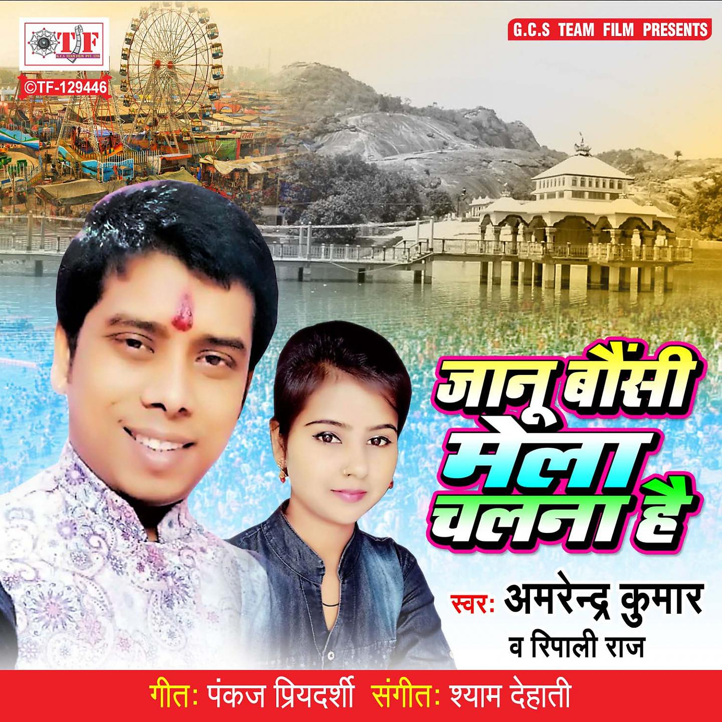 Постер альбома Jaanu Baunsi Mela Chalana Hain