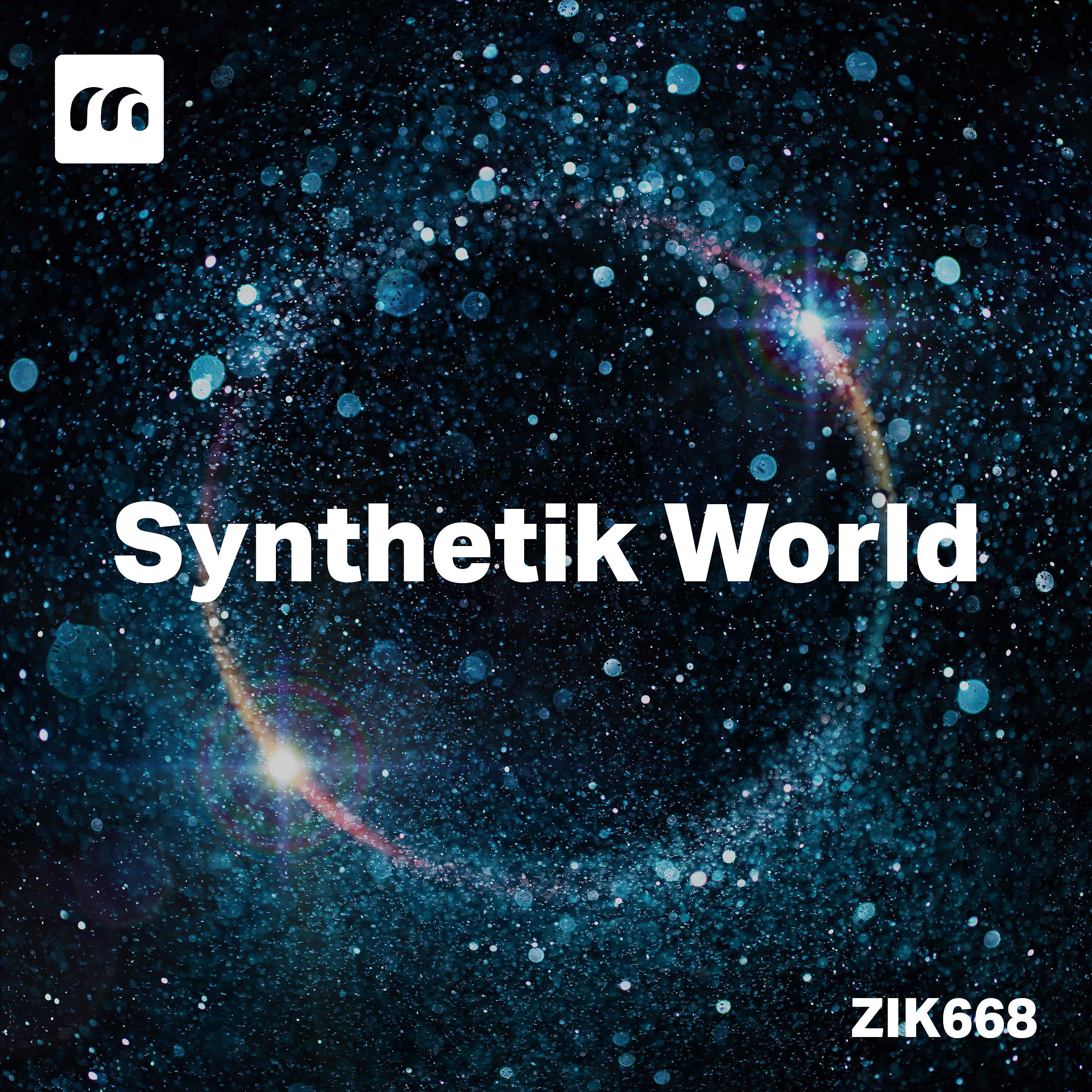 Постер альбома Synthetik World