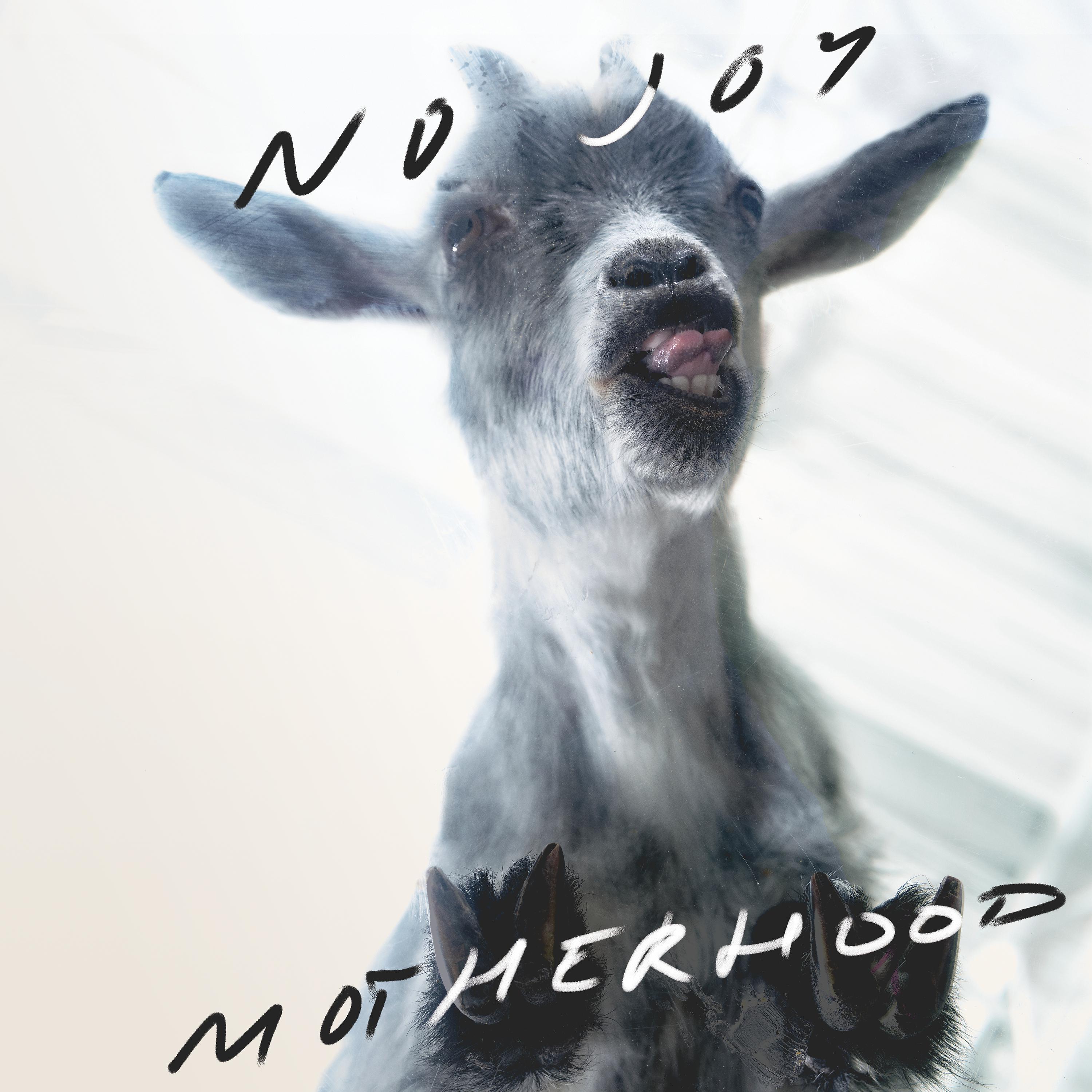 Постер альбома Motherhood