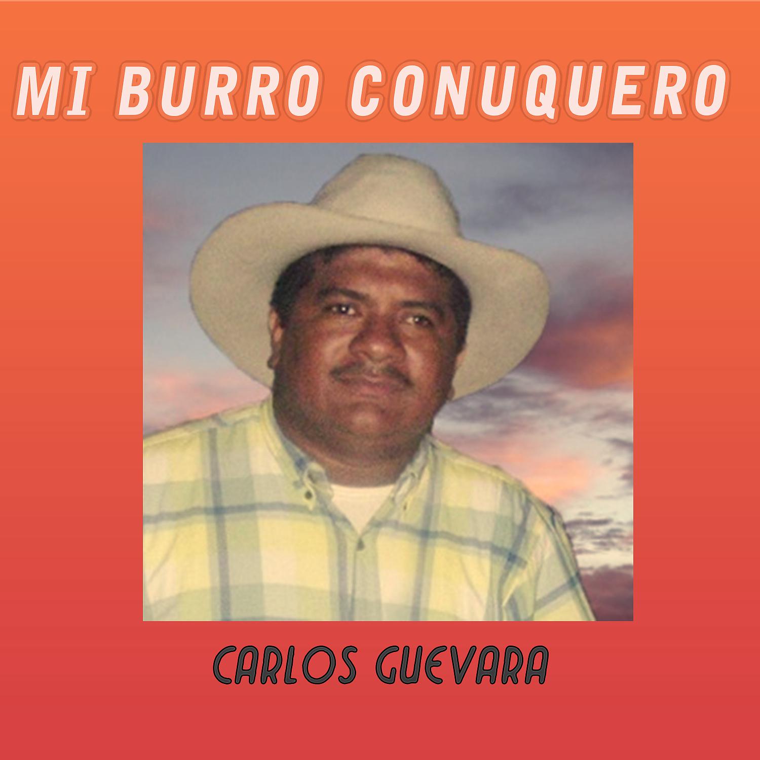 Постер альбома Mi Burro Conuquero