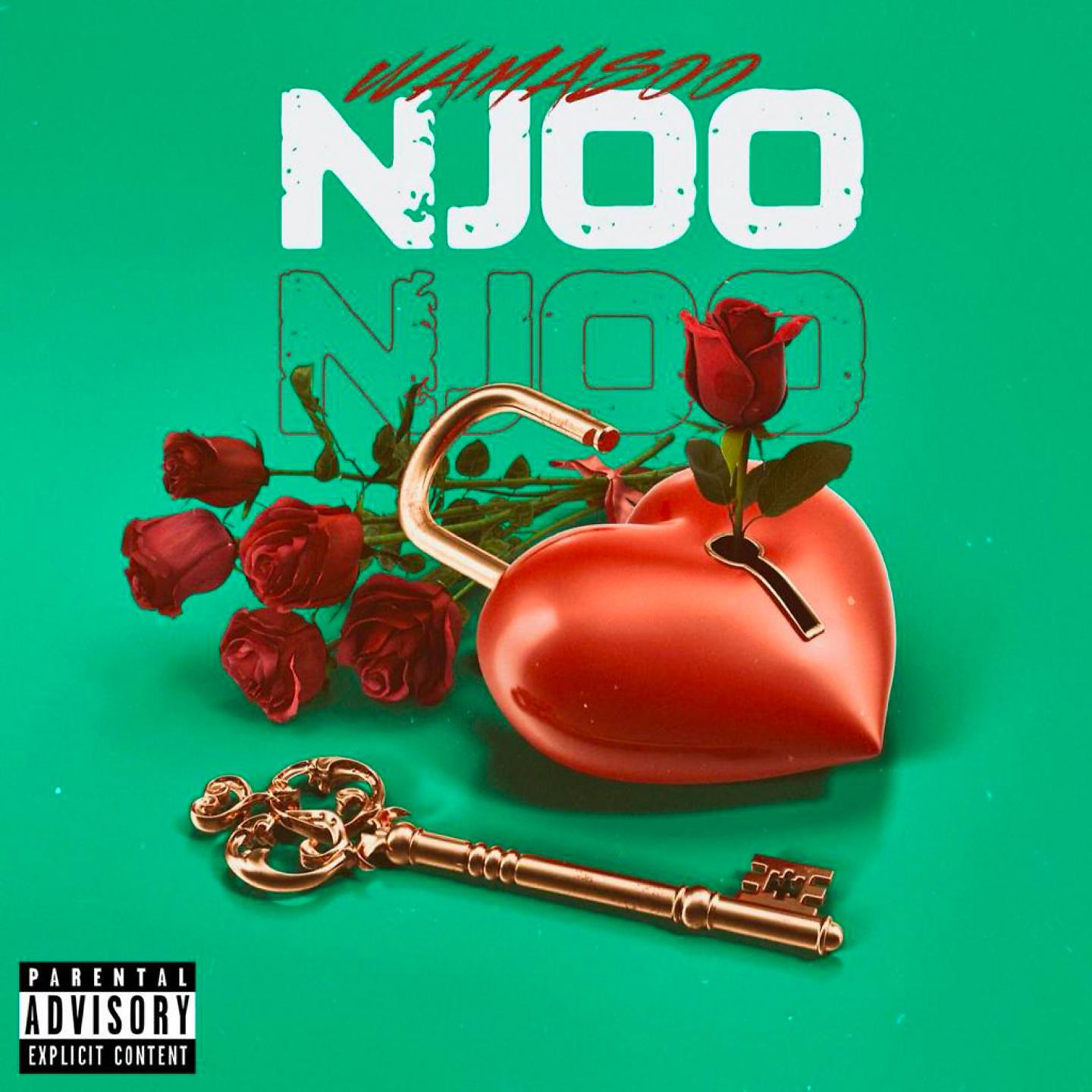Постер альбома Njoo