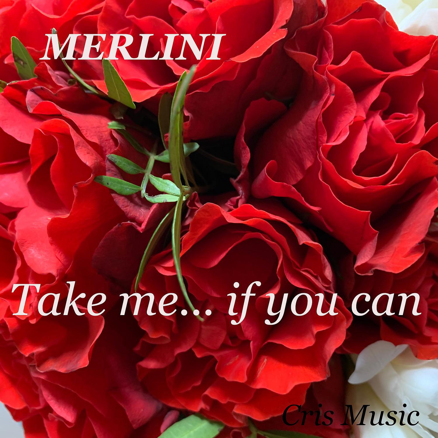 Постер альбома Merlini: Take Me ... If You Can