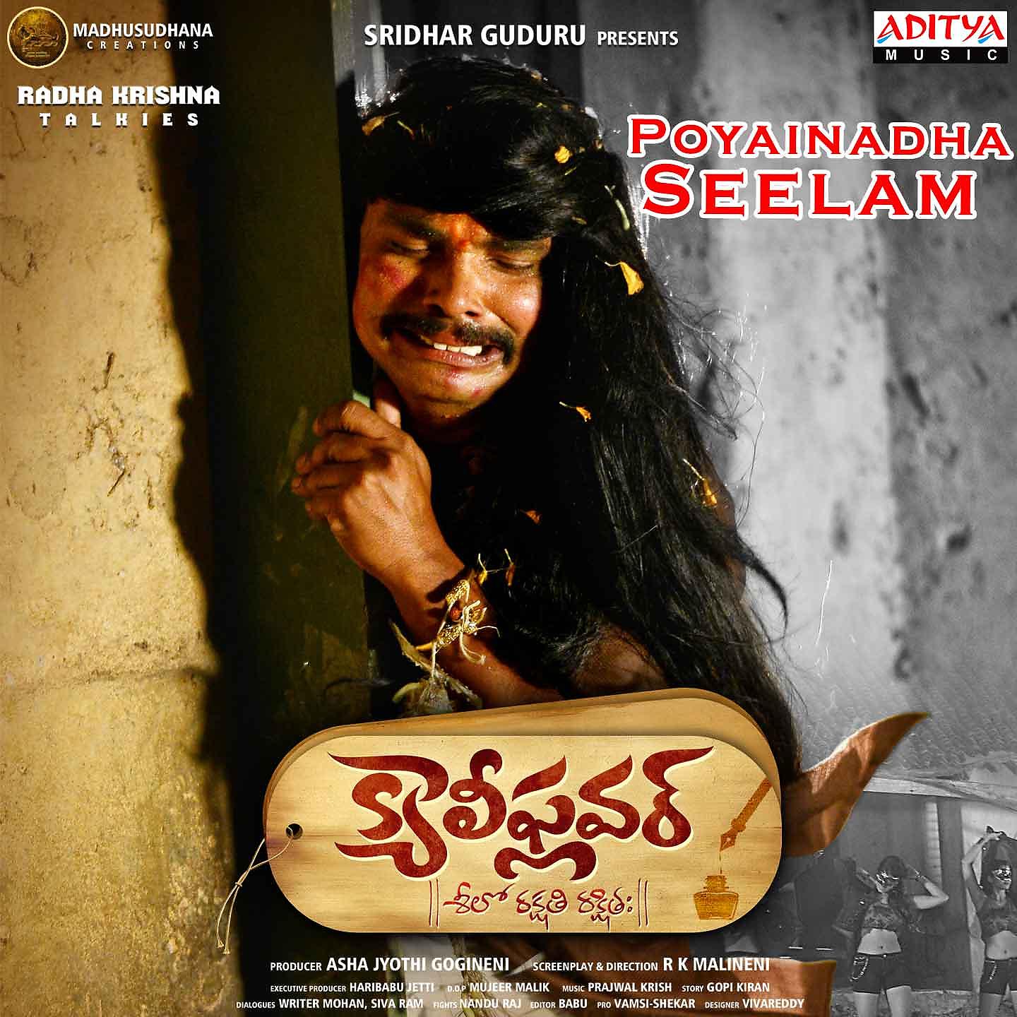 Постер альбома Poyainadha Seelam