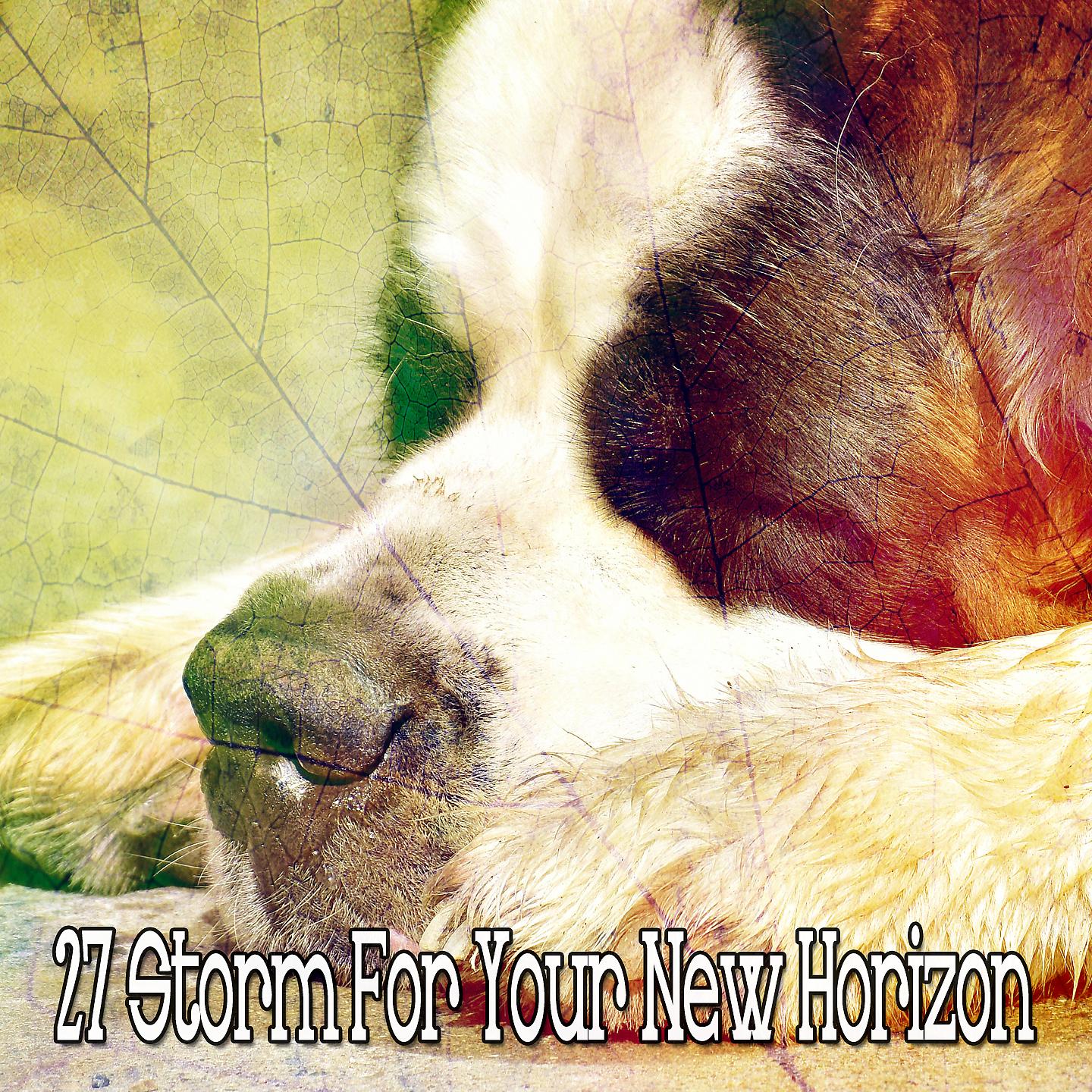 Постер альбома 27 Шторм для вашего нового горизонта