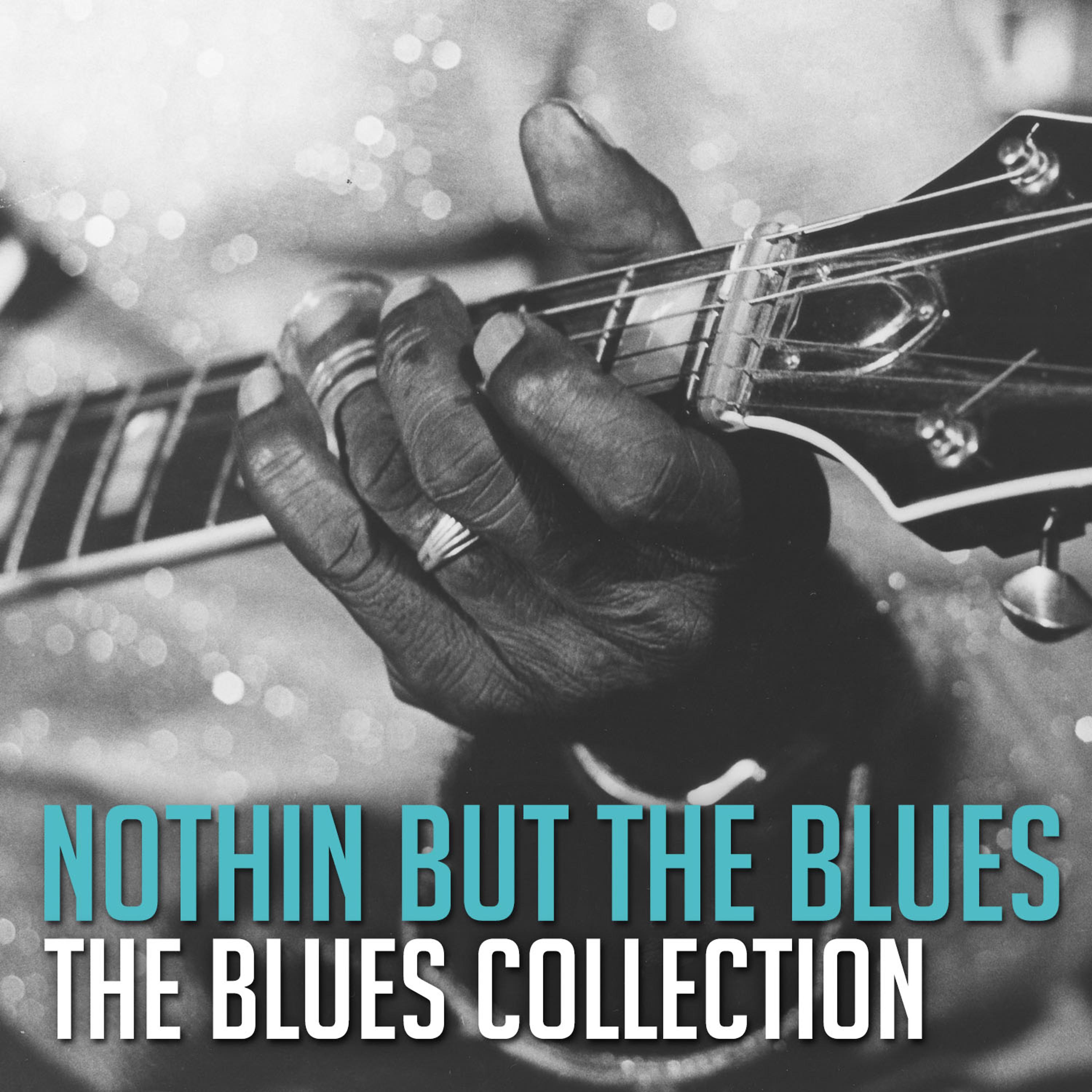 Постер альбома The Blues Collection: Nothin but the Blues