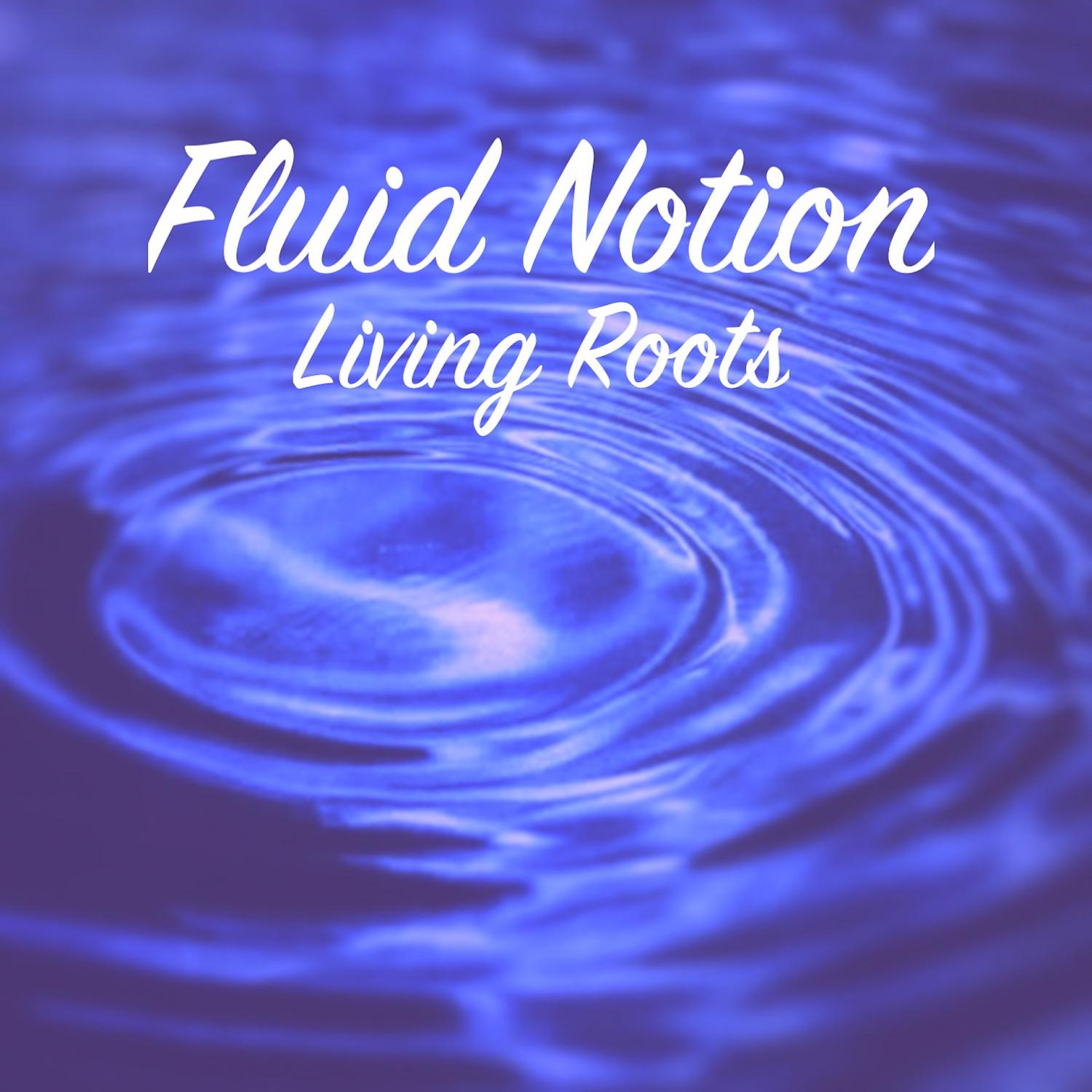 Постер альбома Fluid Notion