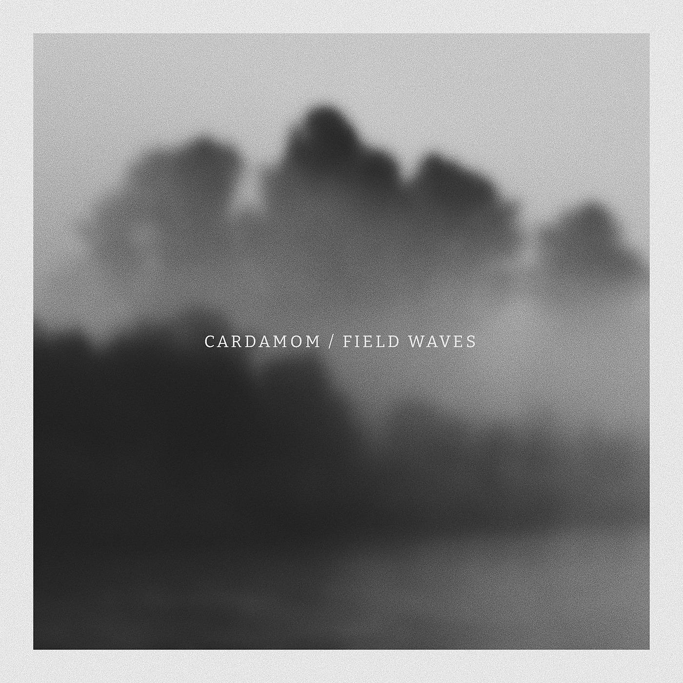 Постер альбома Field Waves