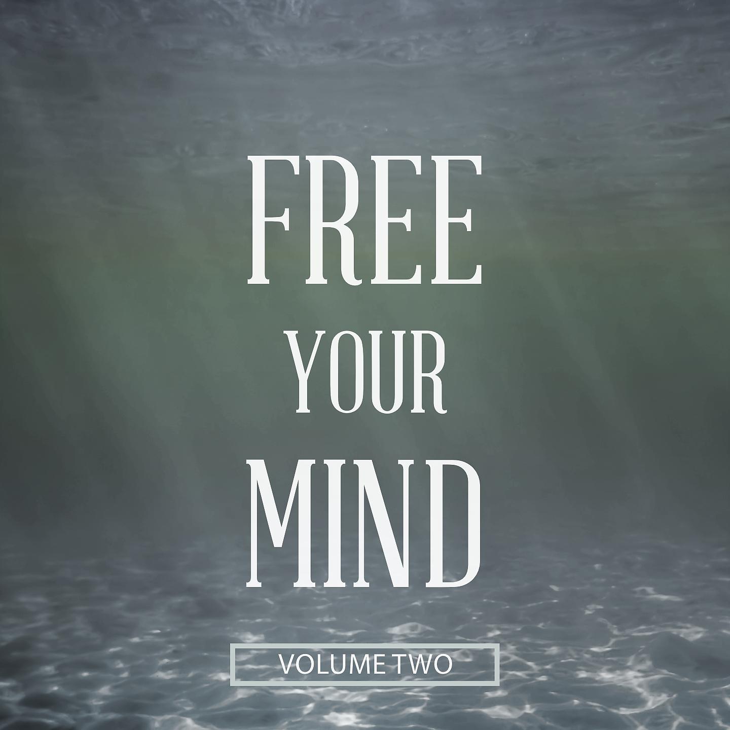 Постер альбома Free Your Mind, Vol. 2