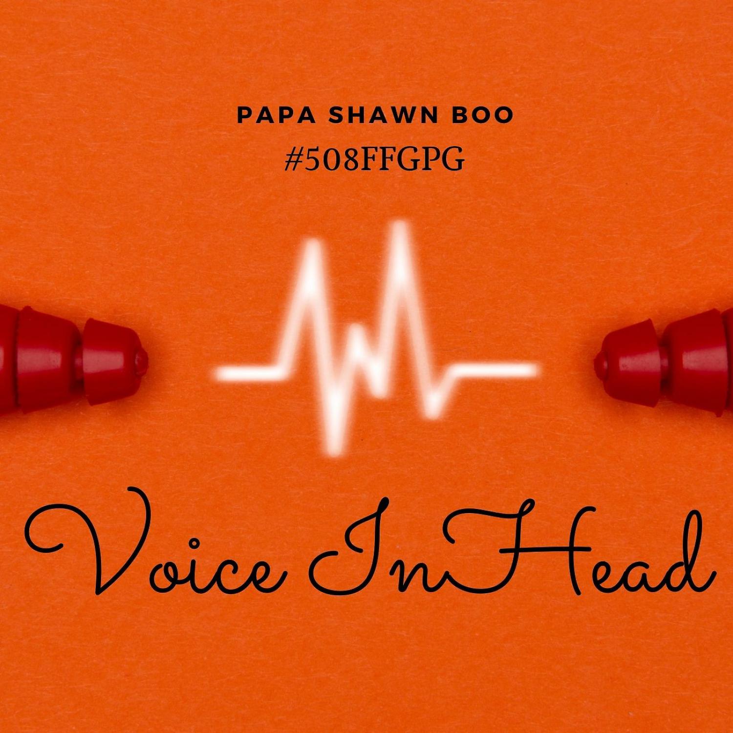 Постер альбома Voice In Head (feat. K E On The Track)