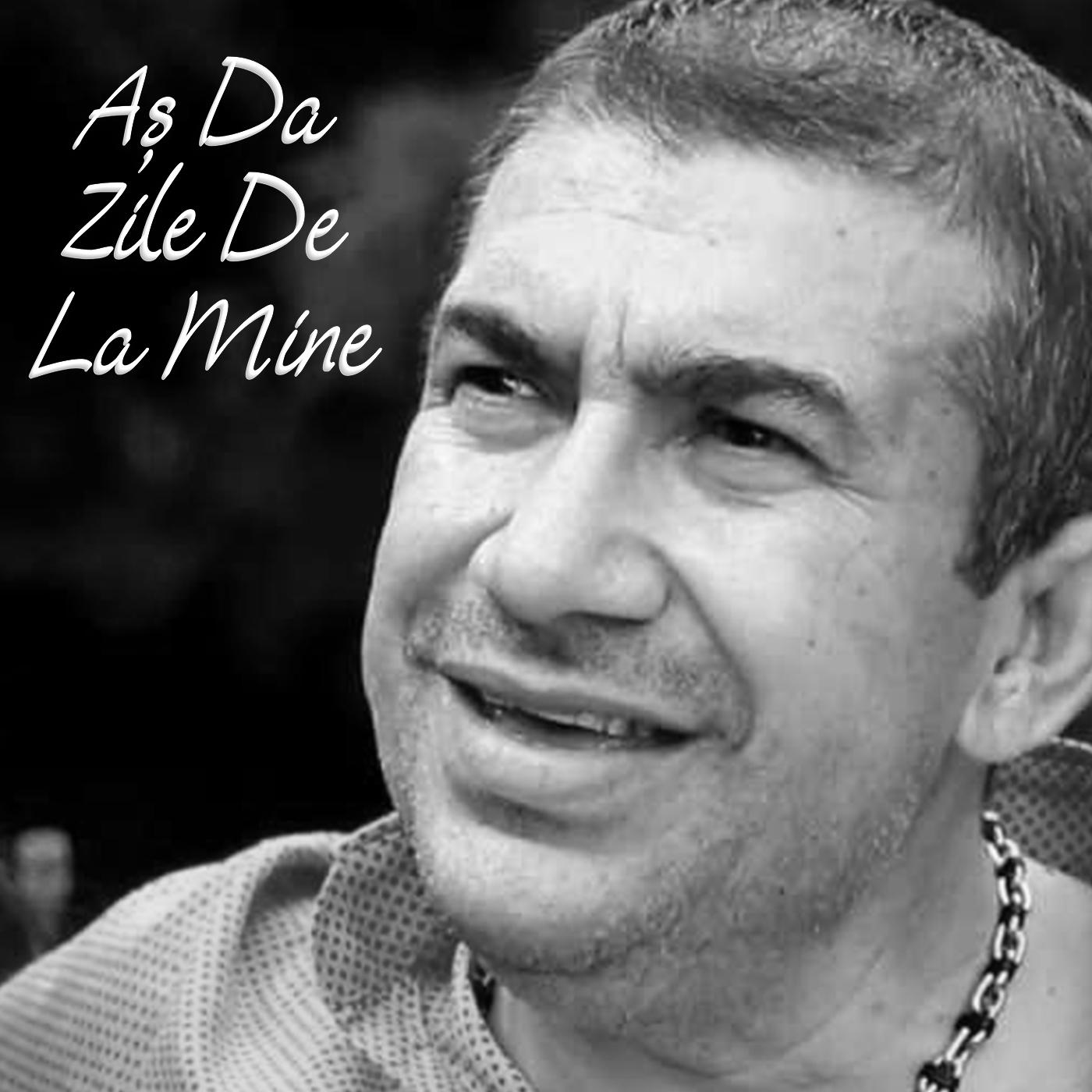 Постер альбома Aș Da Zile De La Mine